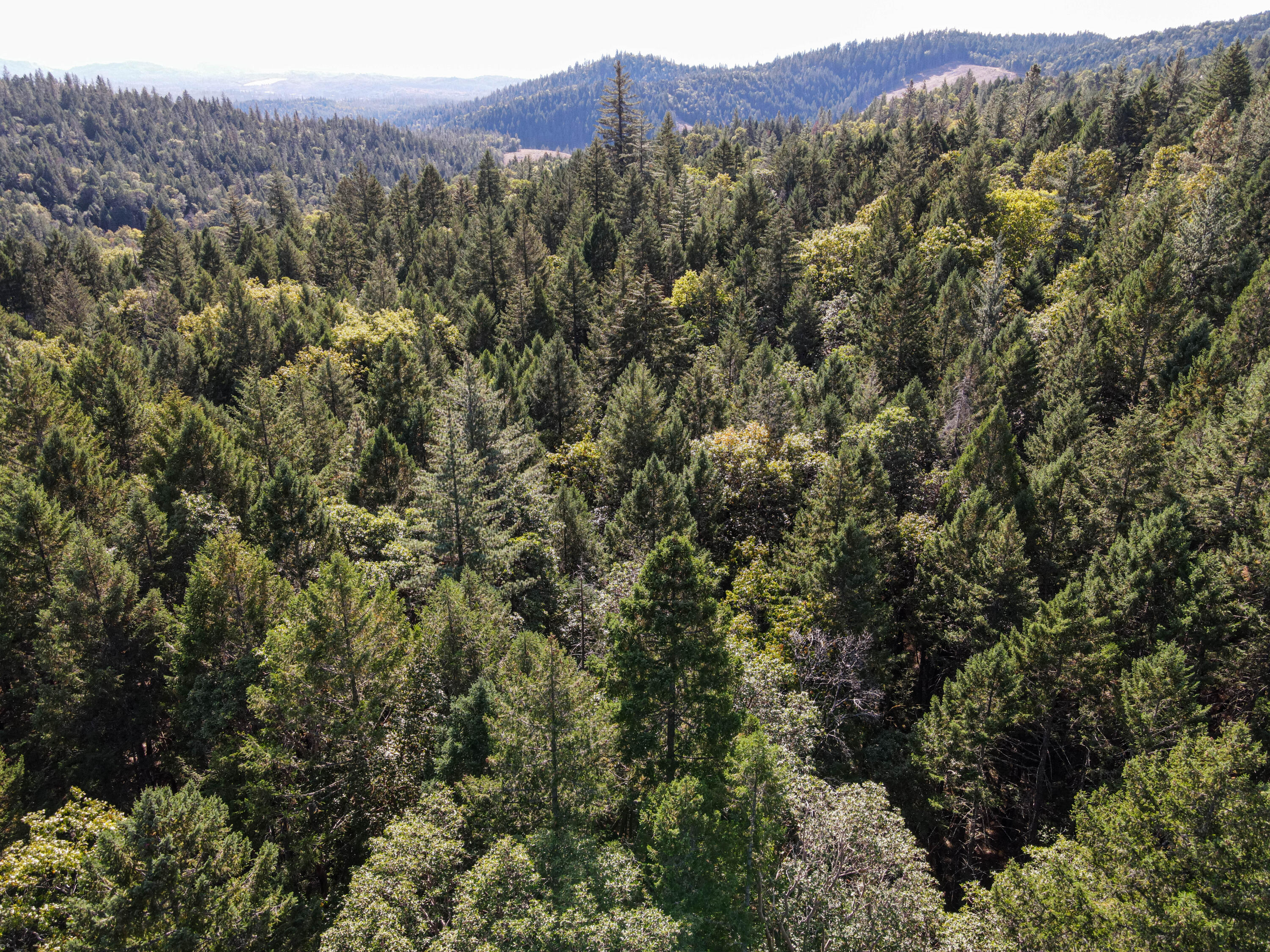 Merlin Townsite - Land