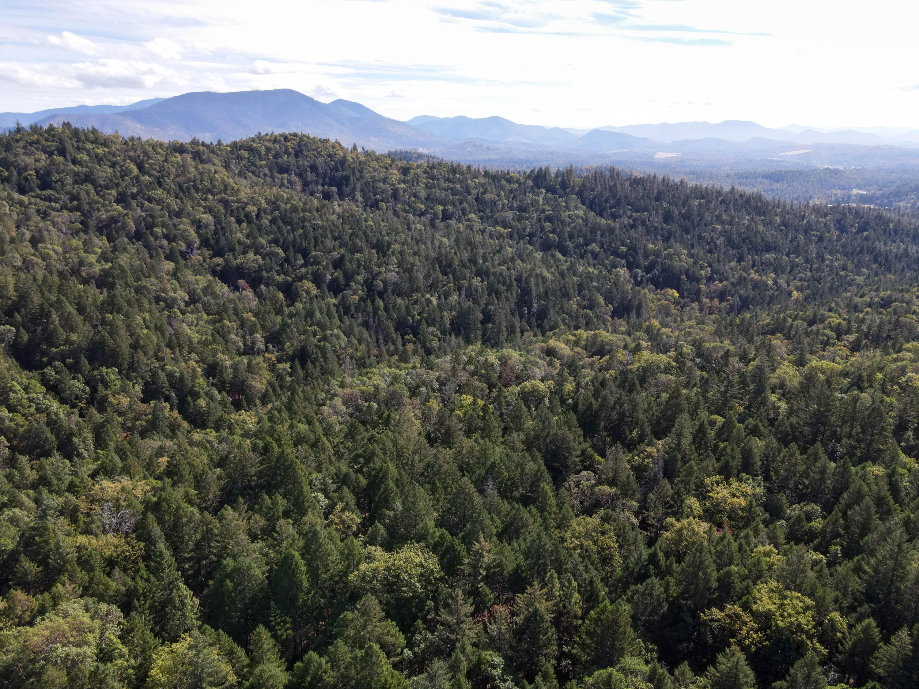 Merlin Townsite - Land