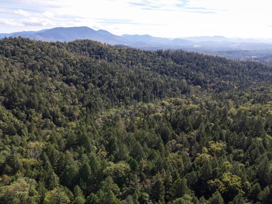 Owner will Carry with $50,000! Beautifully nestled on Quartz Creek, this 5-acre parcel allows for a variety of both personal and investment uses. Heavily treed and delightfully secluded, the raw land beckons for relaxation and tranquility. Envision building a gorgeous log cabin or rustic retreat with an entertainer's wrap-around front porch, soaring vaulted ceilings, and oversized windows to capture nature's daily beauty. Alternatively, the home may be used a part-time or full-time rental for leisure seekers. For those looking to capitalize on the vast timber resources, the lot is zoned as resource land! Enjoy the access to BLM land! Daily conveniences are a short drive away in Merlin and Grants Pass. You are only 6-12-miles from highly-rated restaurants, grocery stores, I5, medical facilities, and schools. Create your own slice of paradise in Oregon's scenic countryside. Schedule a tour today!