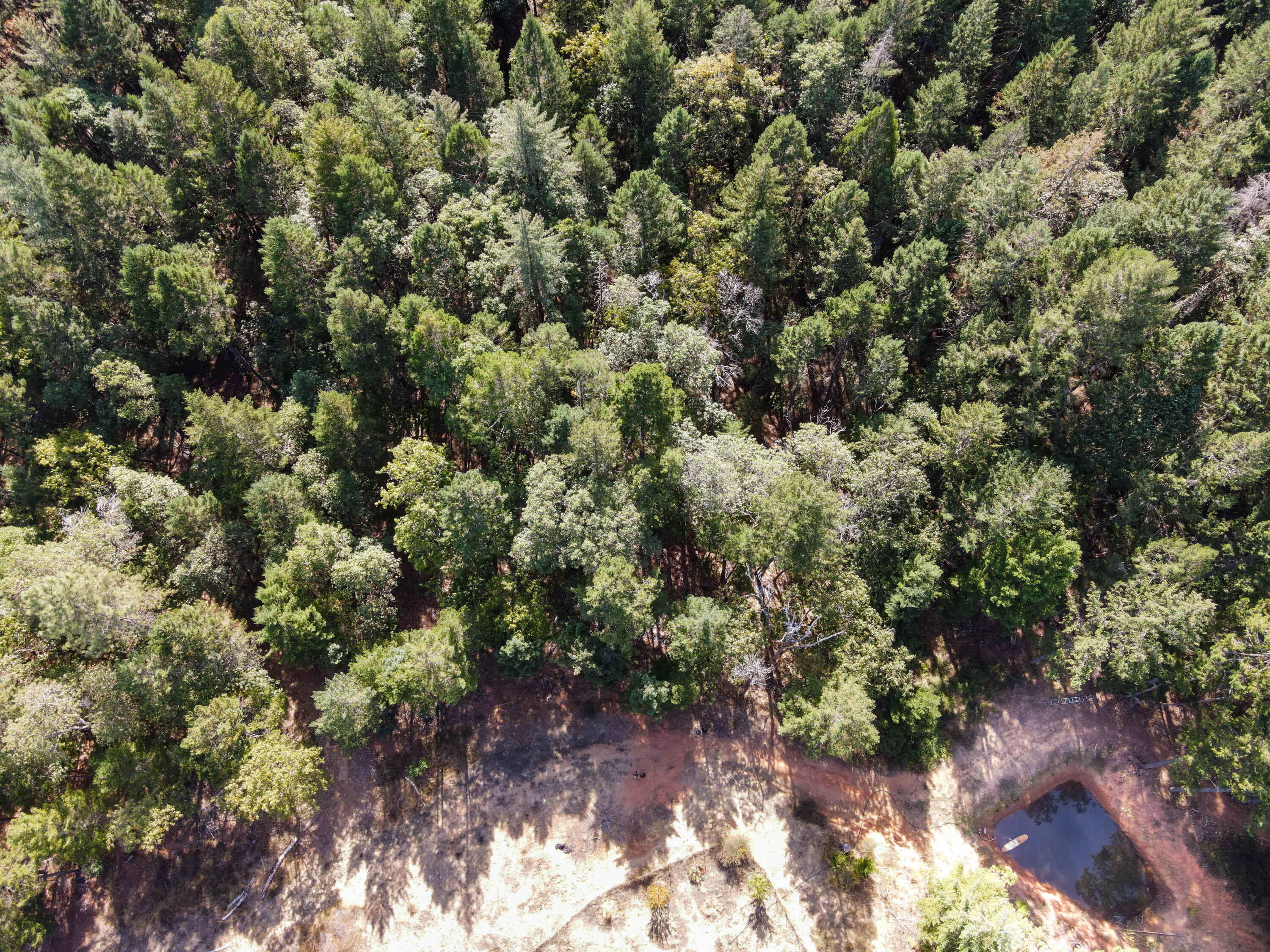 Merlin Townsite - Land