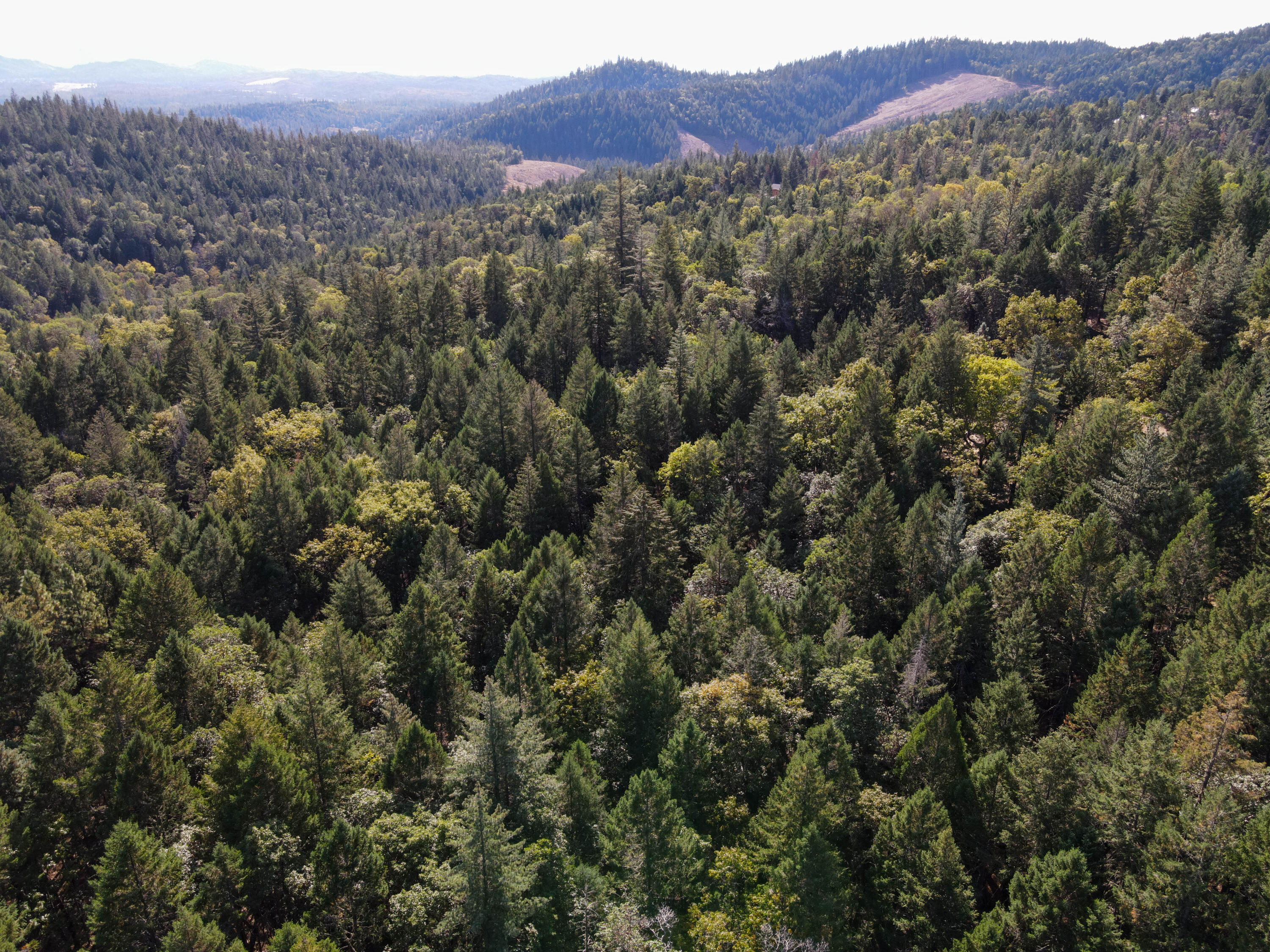 Merlin Townsite - Land