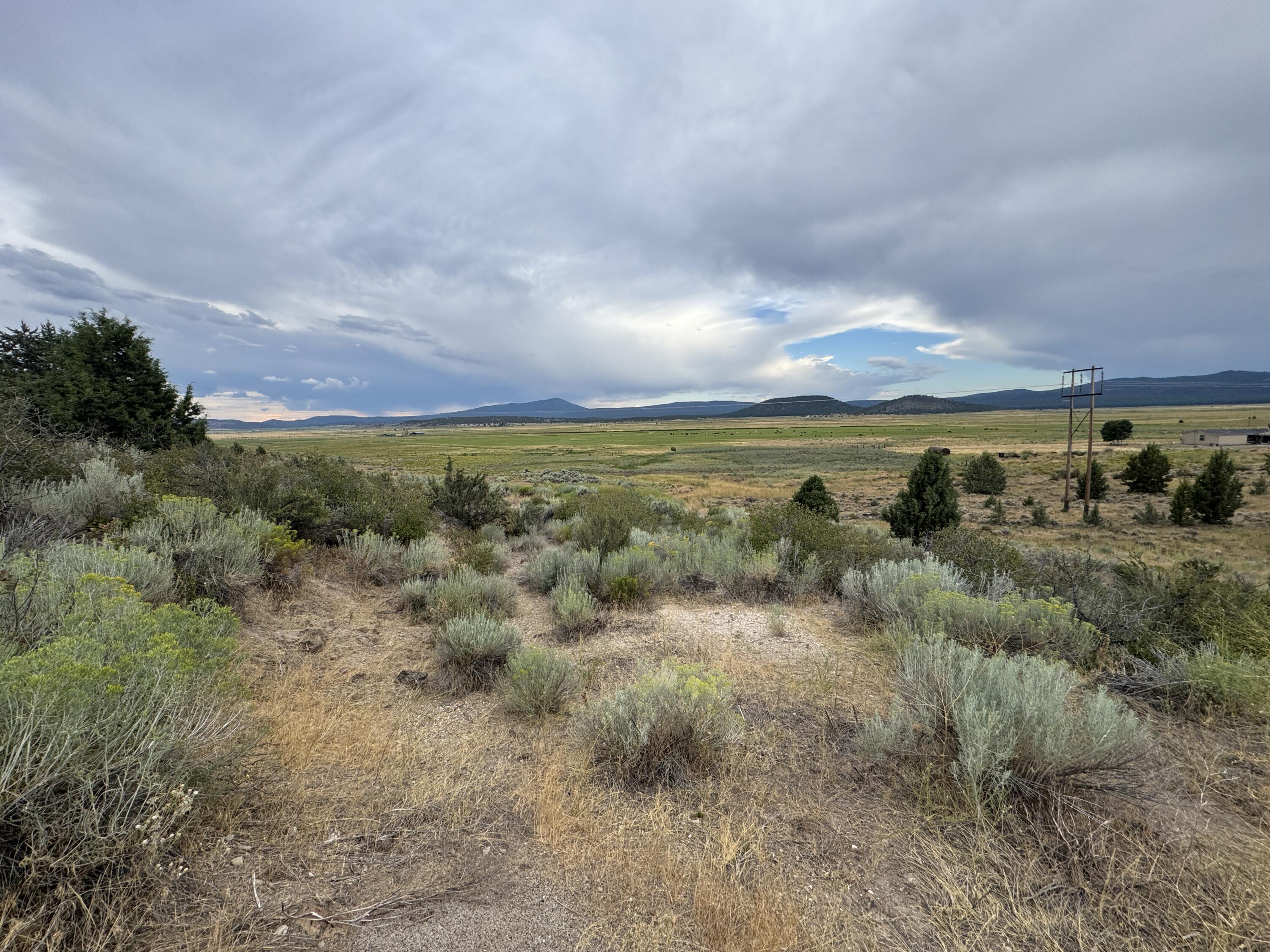 Nimrod River Park - Land