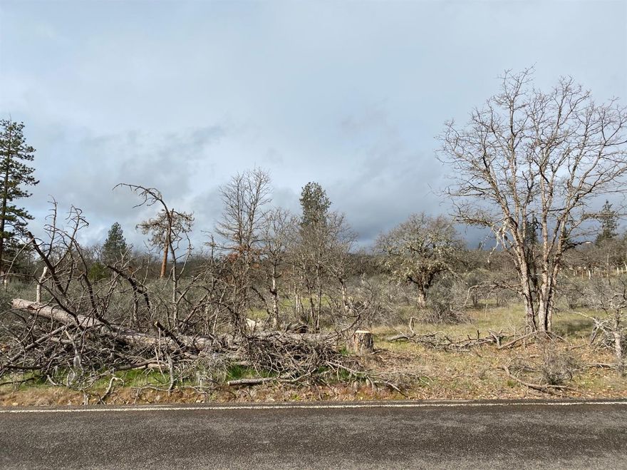 Great opportunity to own 8.85 acres of EFU property that is level and only 15 minutes from Eagle Point in the beautiful farm lands of Sams Valley. This is raw land and buyers should look into restrictions and property usages. Property now has home site approval.