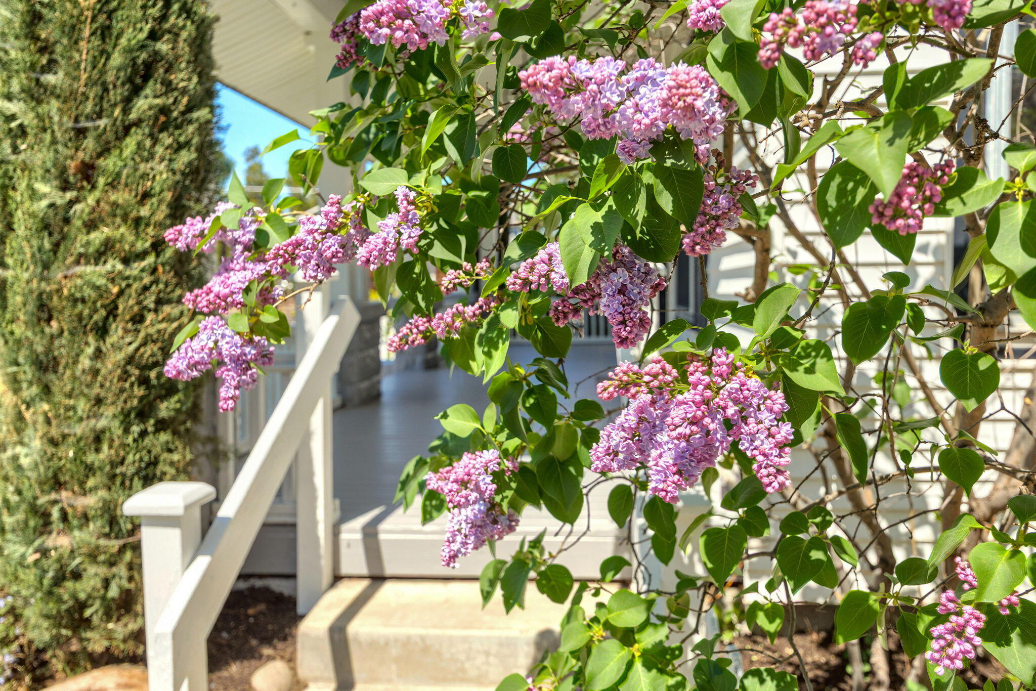 Roanoke Addition - Residential