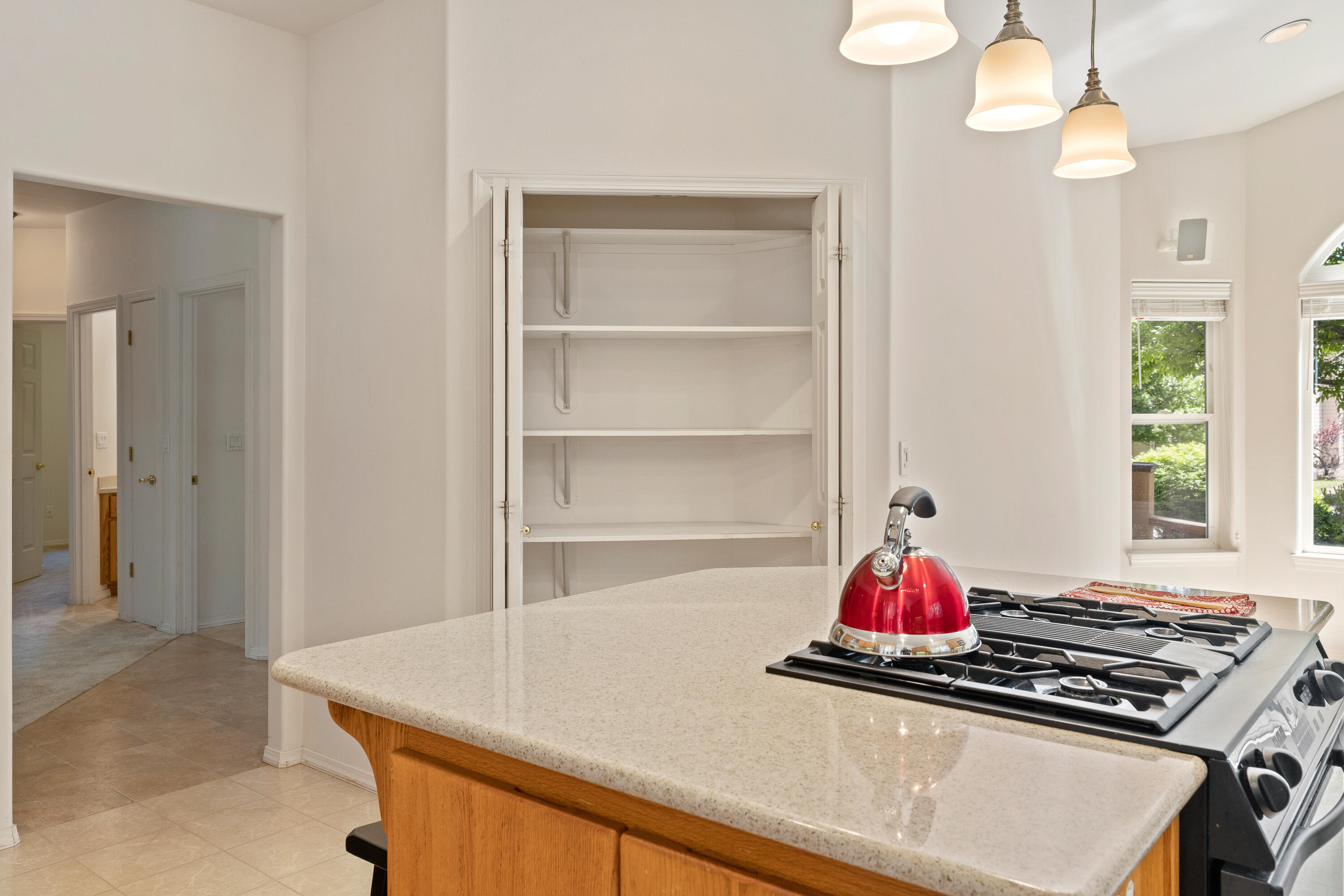 Williamson Park - Residential