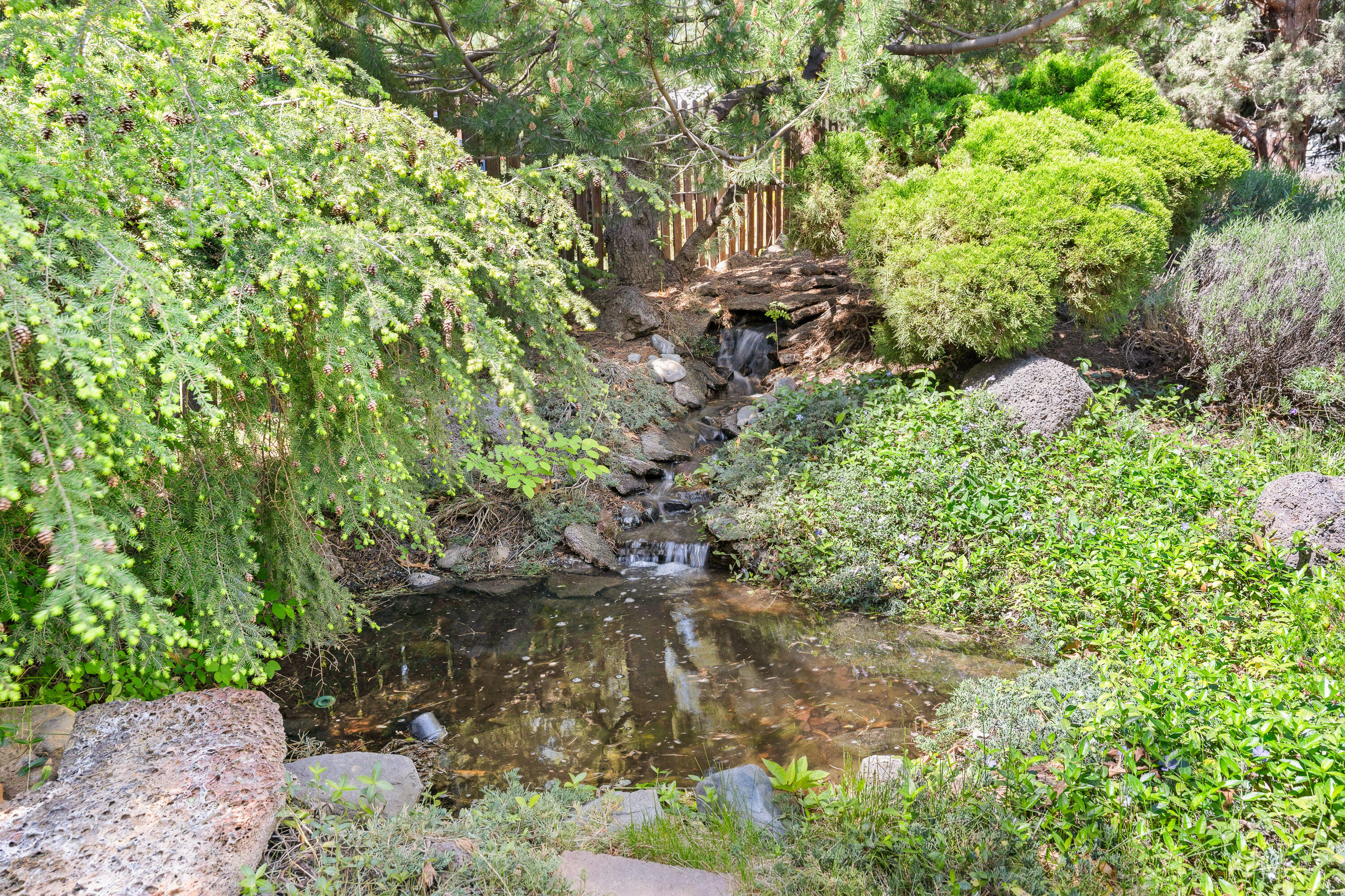 Williamson Park - Residential