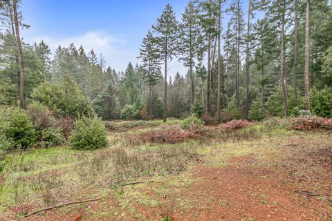 Tiny photo for 419 Idlewild Drive, Cave Junction, OR 97523 (MLS # 220213310)