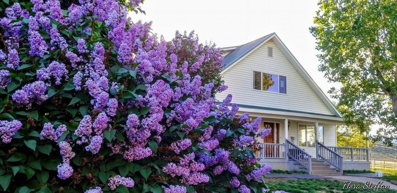 Lake County - Residential