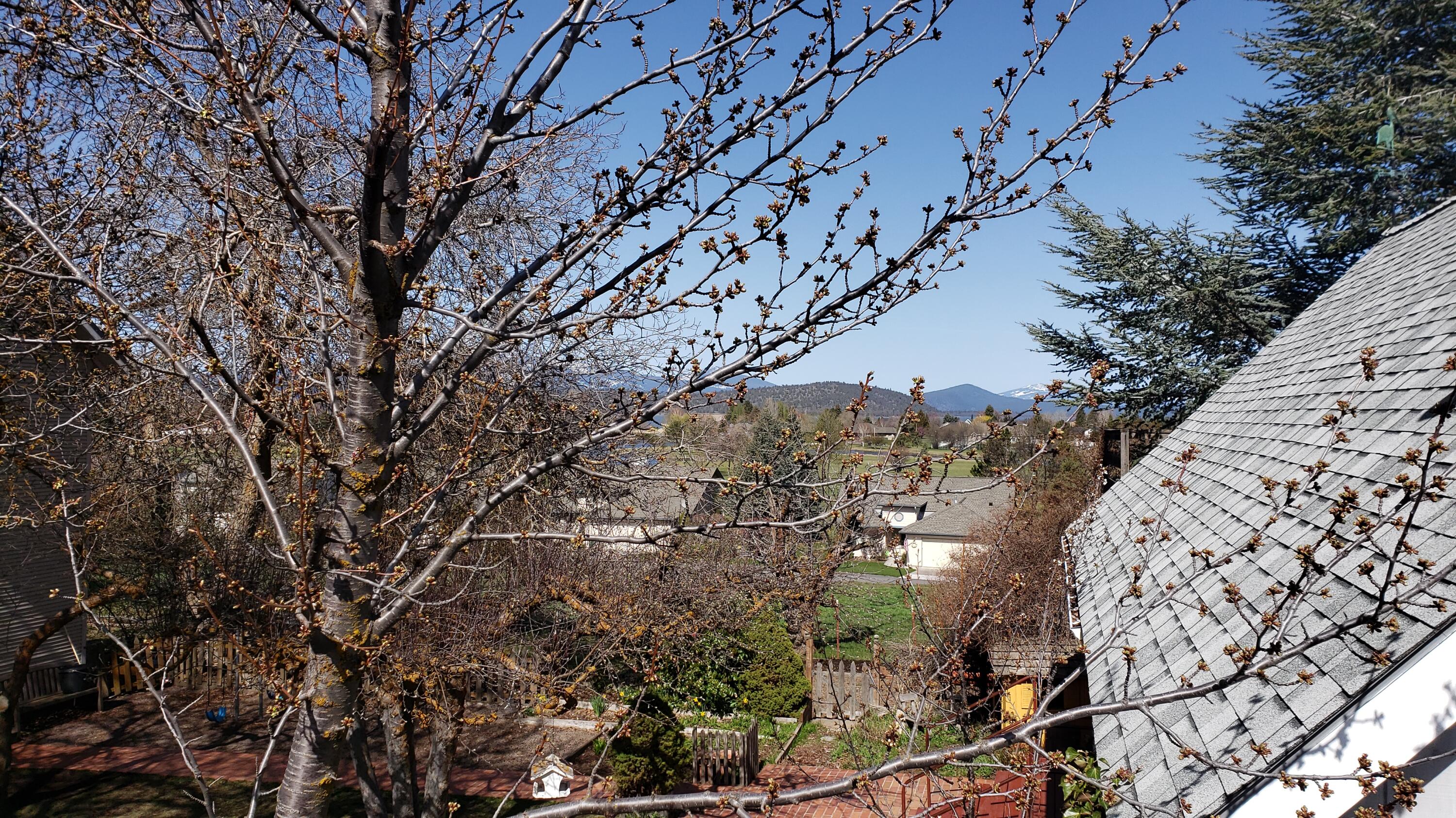 Klamath Falls -Buena Vista Addition - Residential