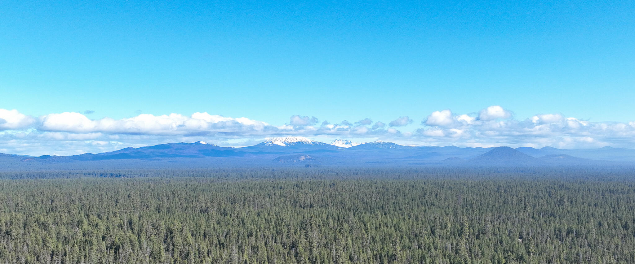 Forest View - Residential