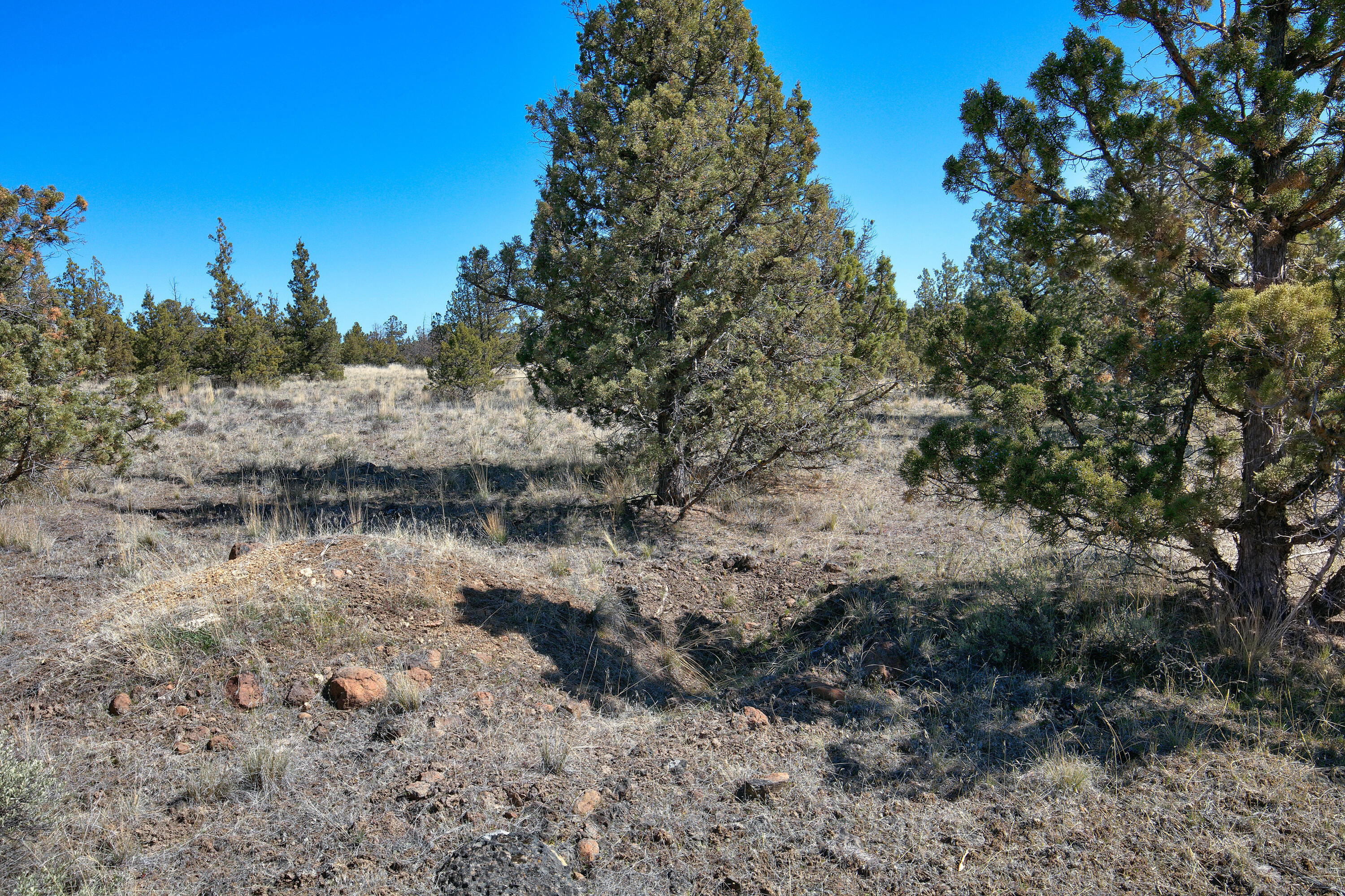 Longhorn Ridge - Land