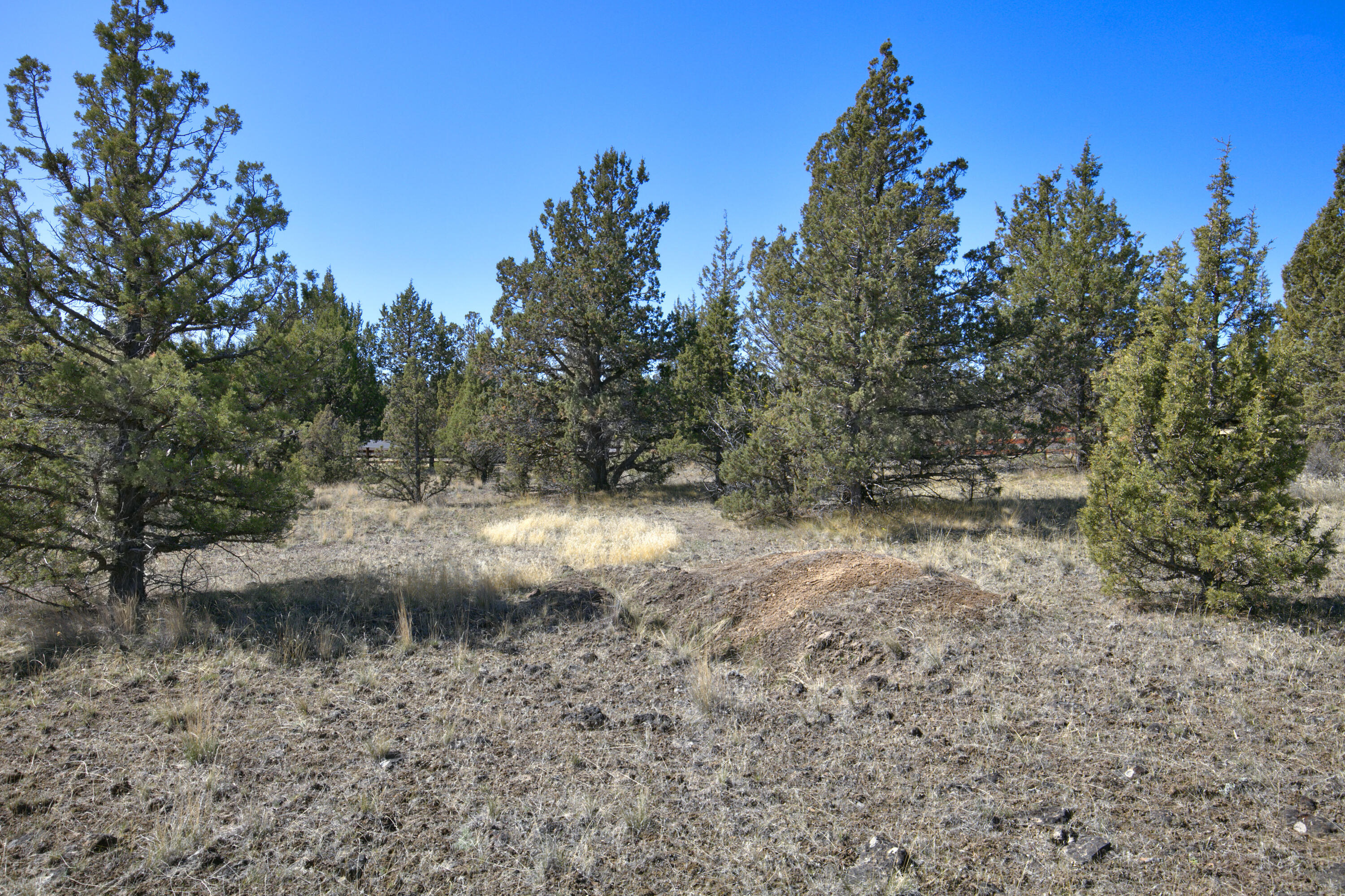 Longhorn Ridge - Land