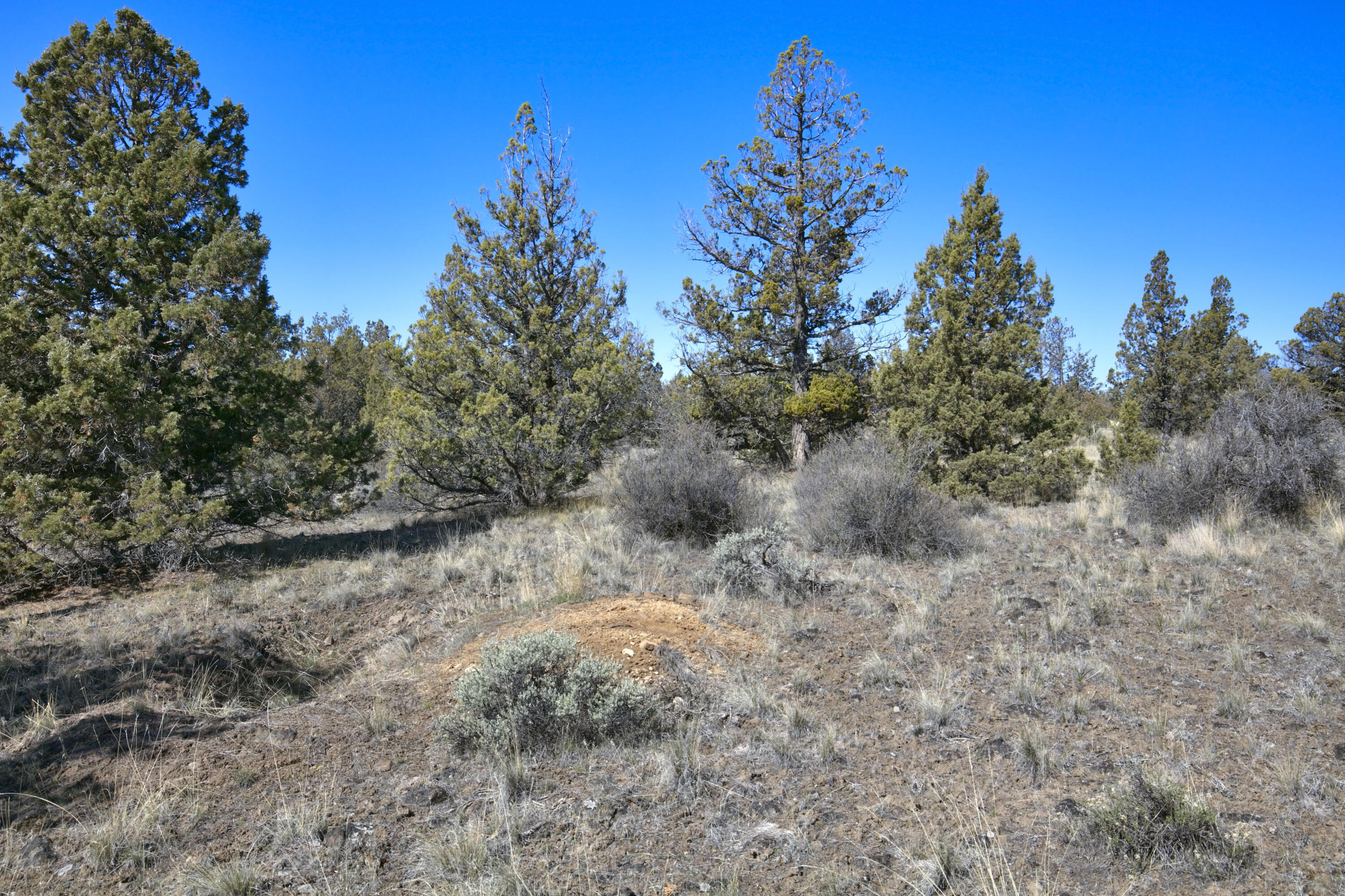 Longhorn Ridge - Land