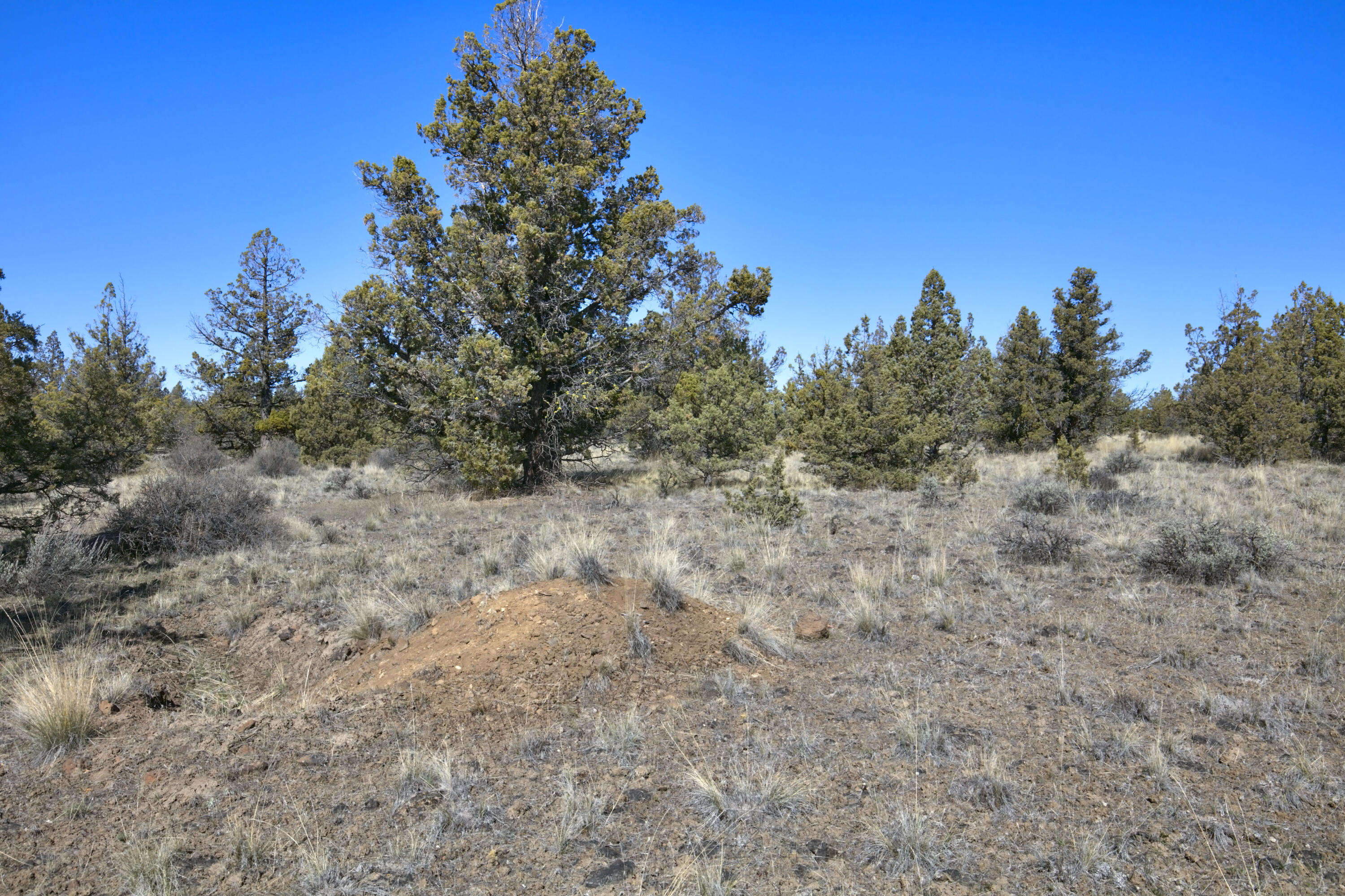 Longhorn Ridge - Land