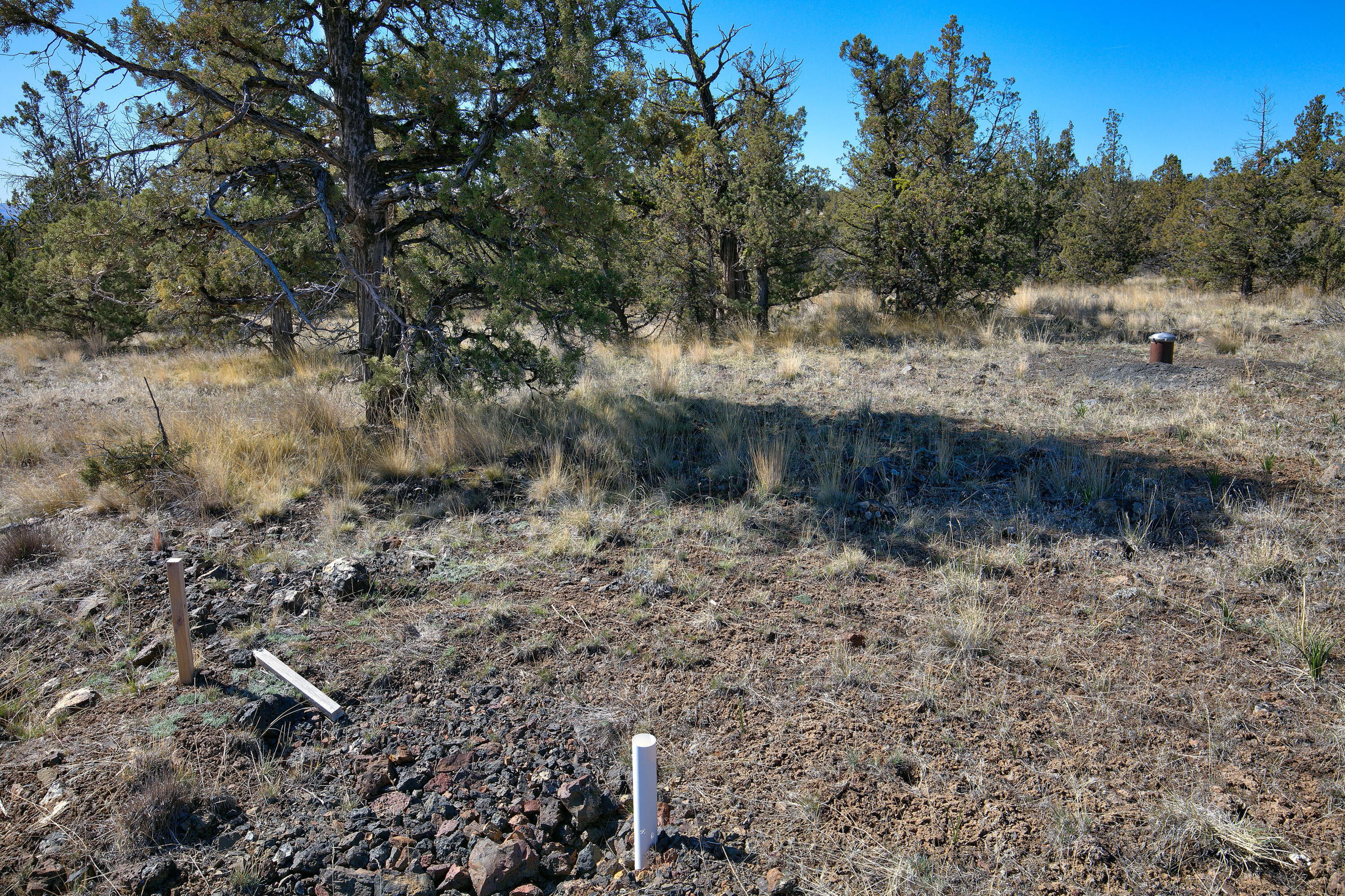 Longhorn Ridge - Land