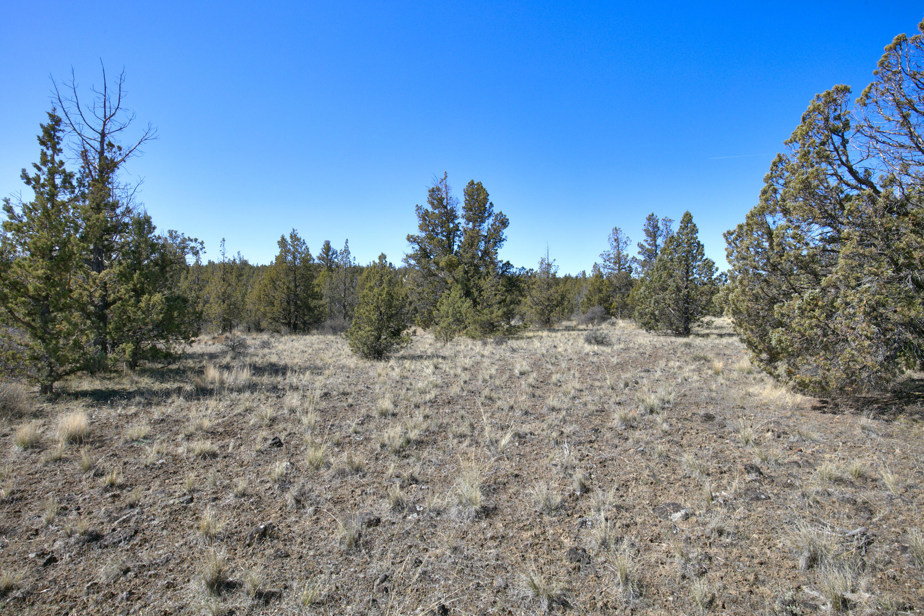 Longhorn Ridge - Land