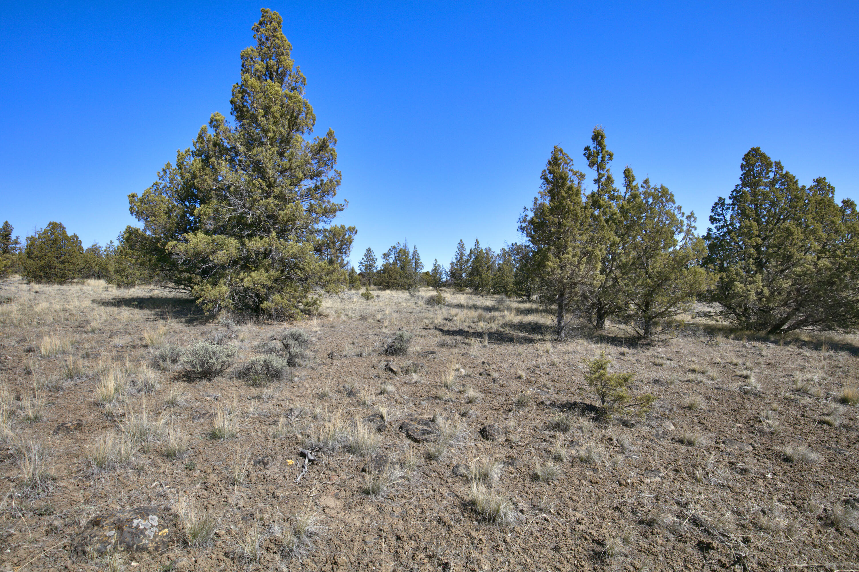 Longhorn Ridge - Land