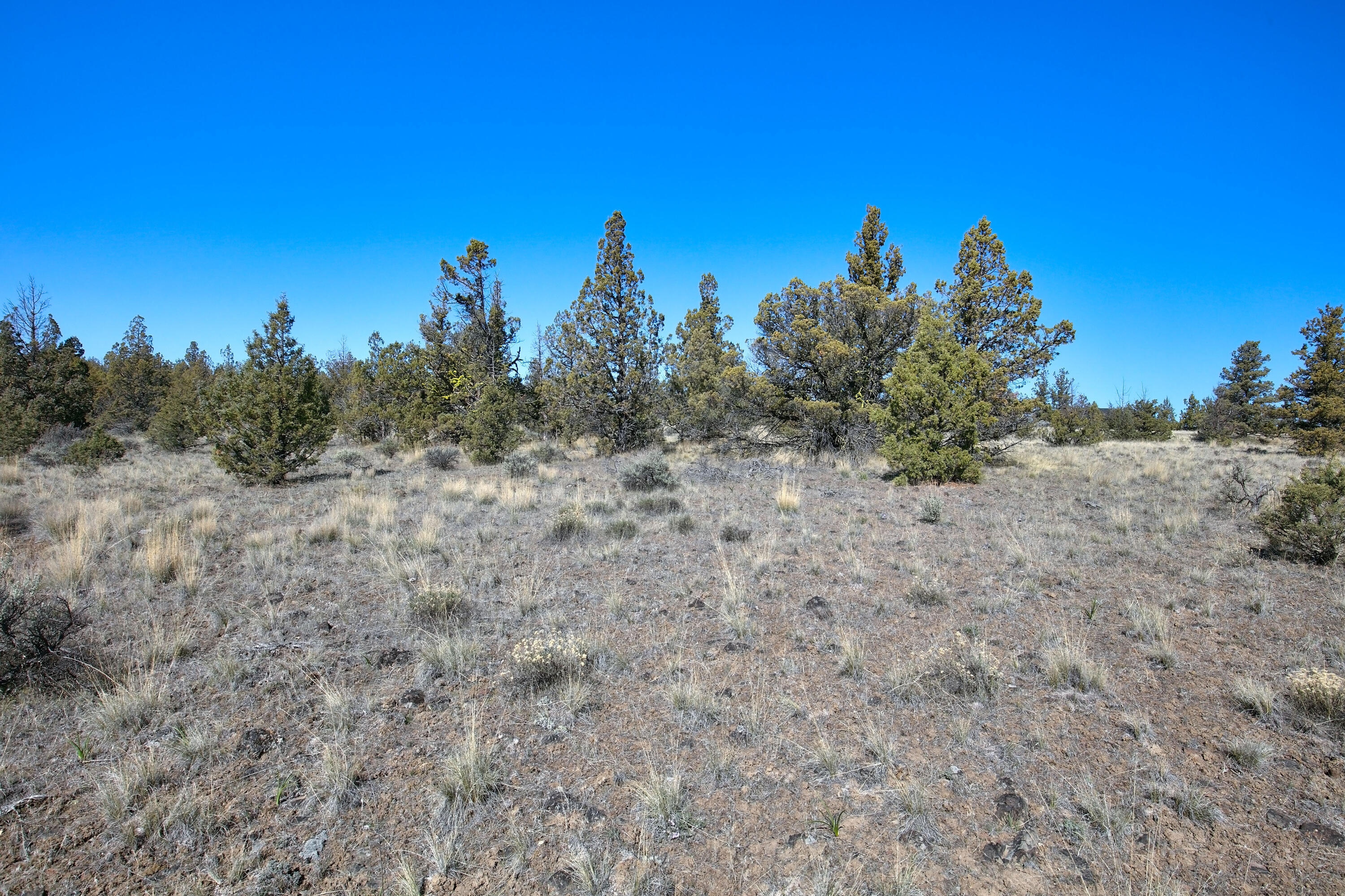 Longhorn Ridge - Land