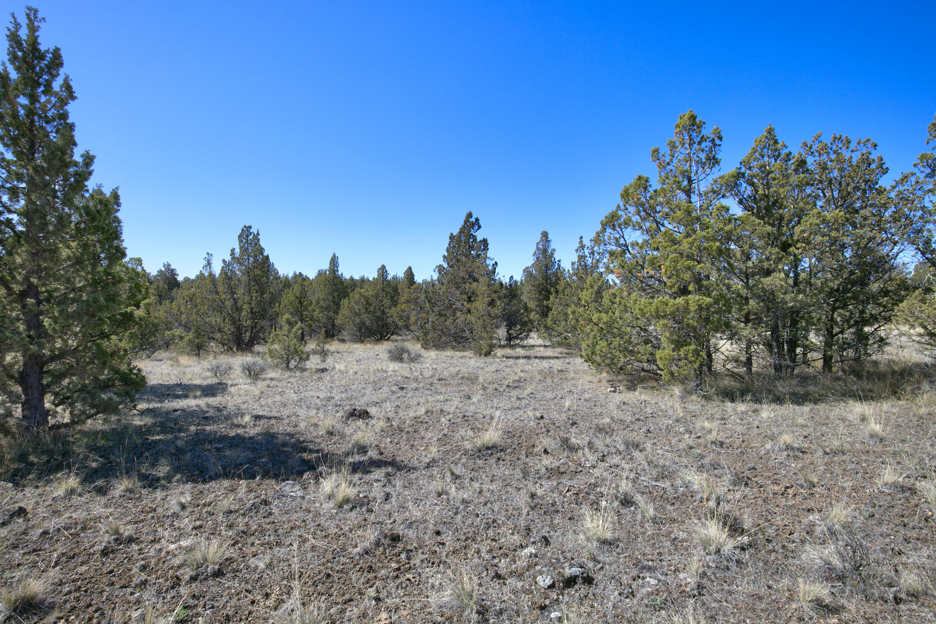 Longhorn Ridge - Land