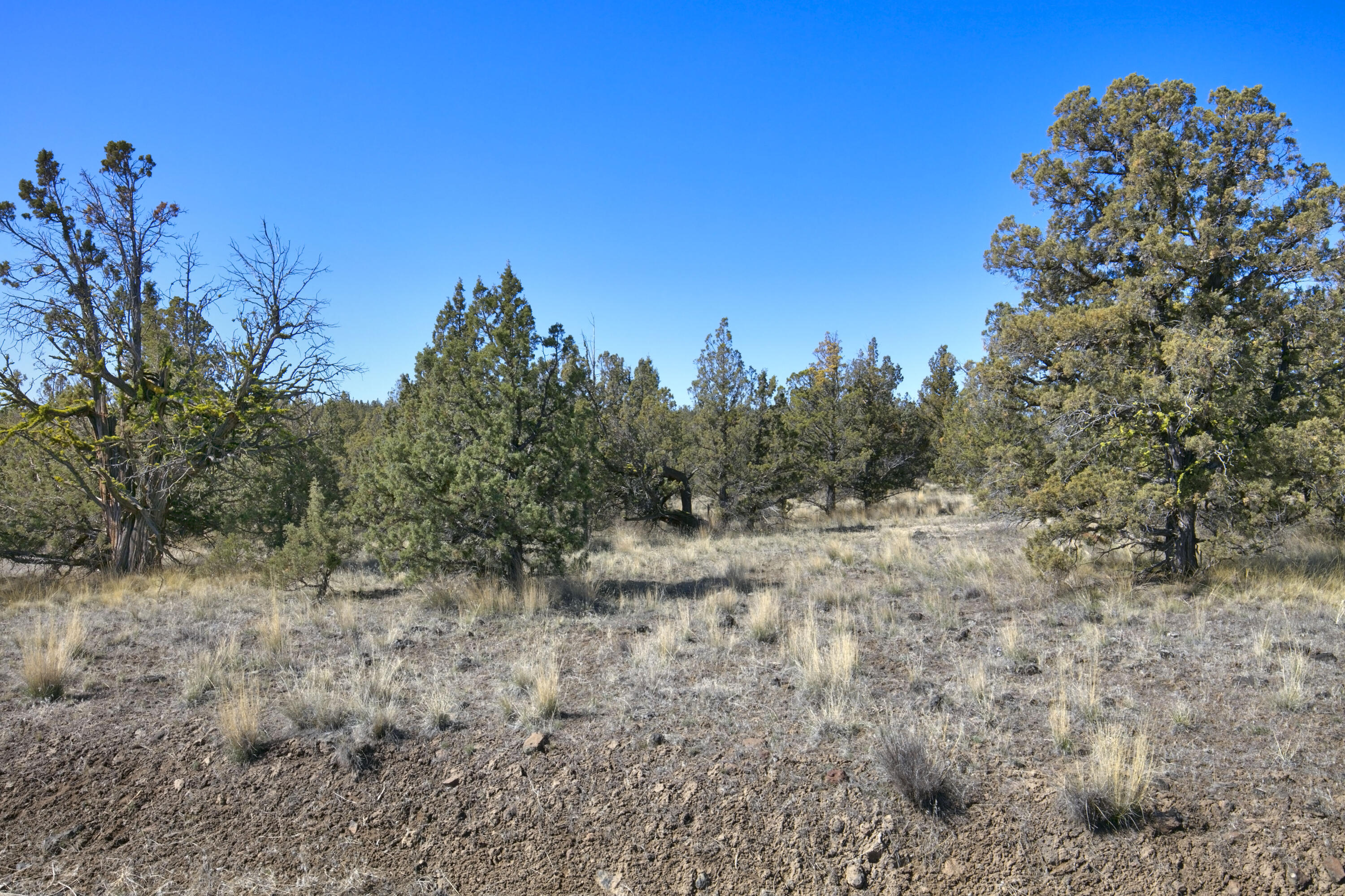 Longhorn Ridge - Land