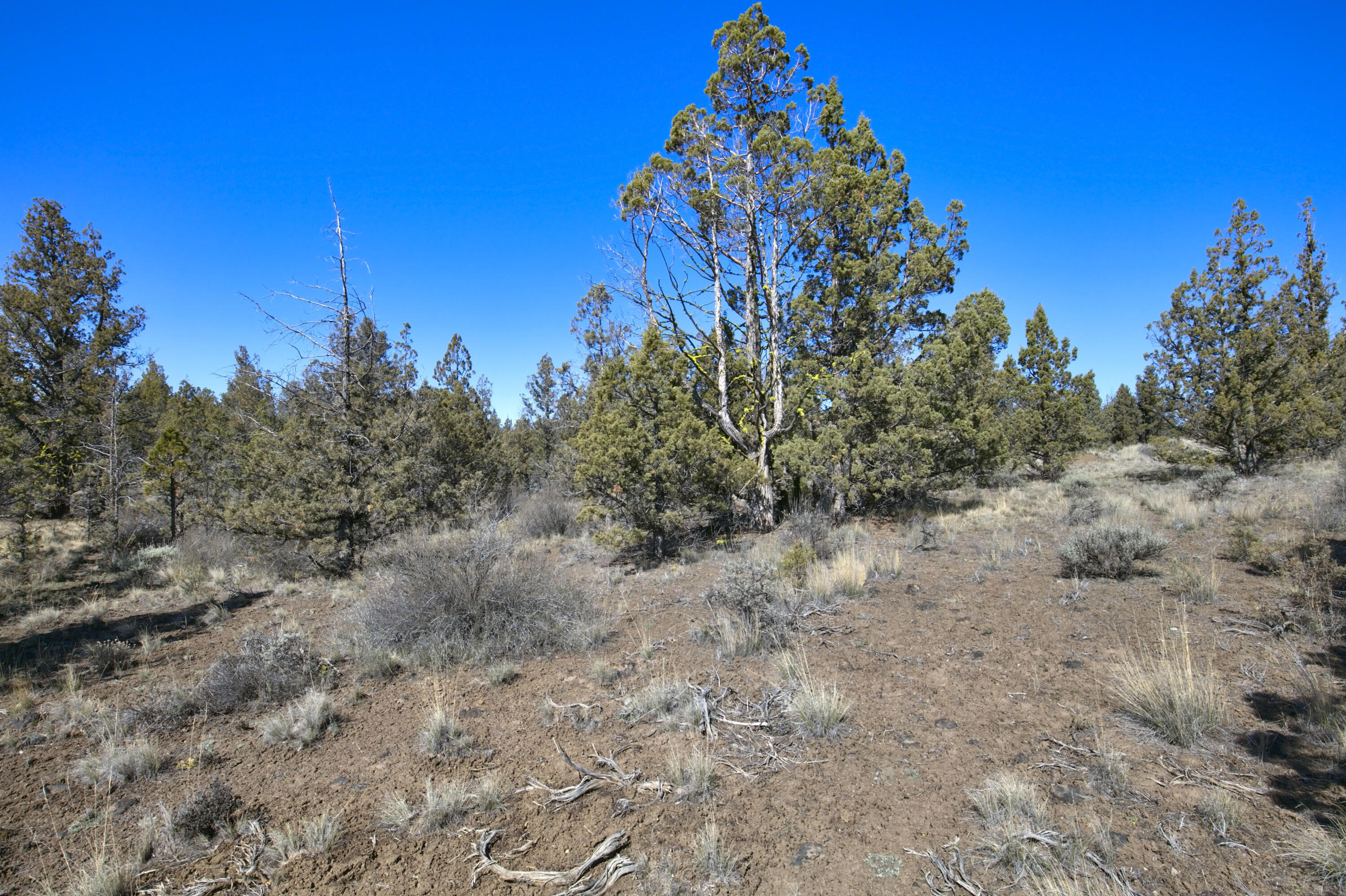 Longhorn Ridge - Land