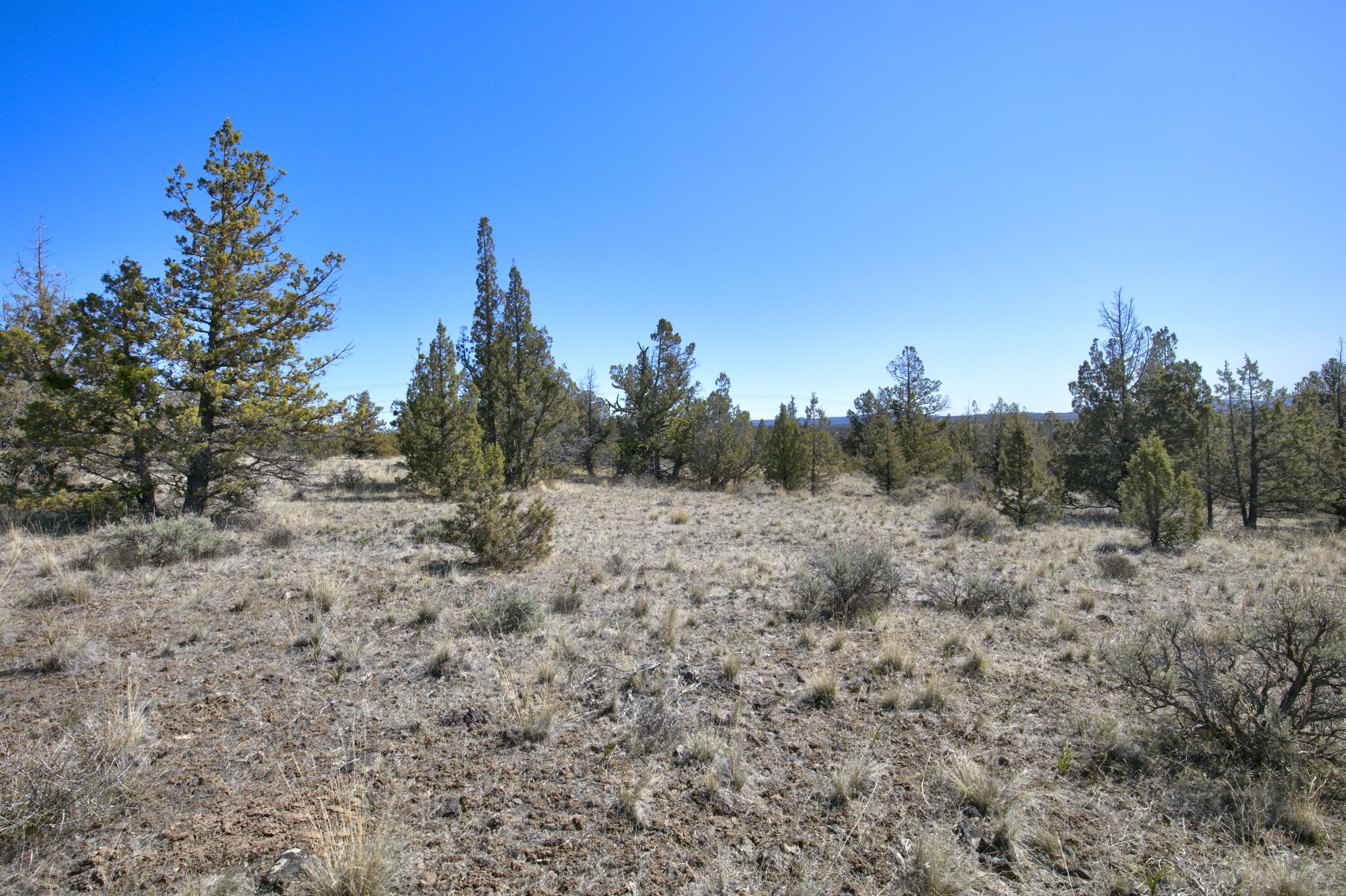 Longhorn Ridge - Land