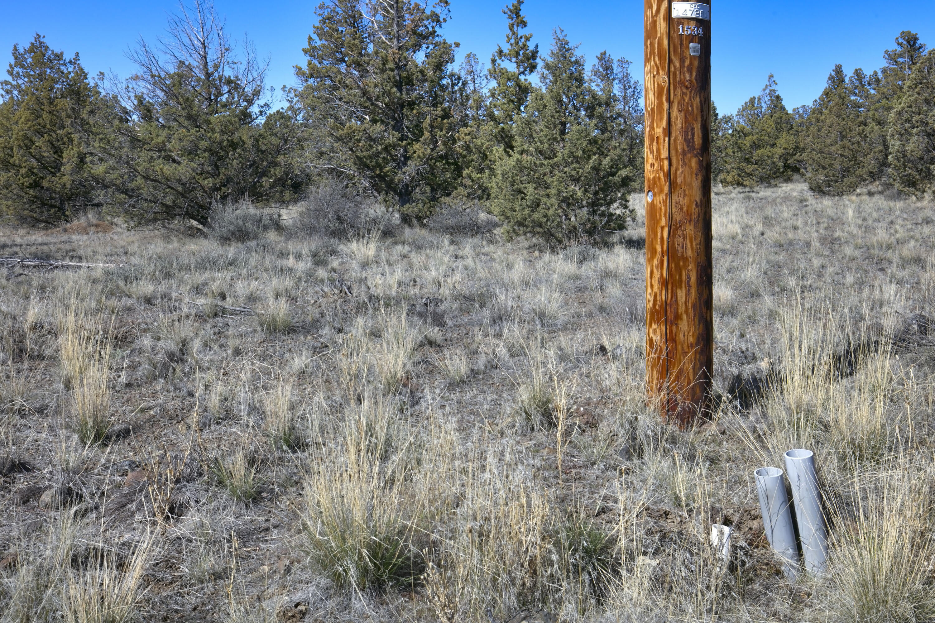 Longhorn Ridge - Land