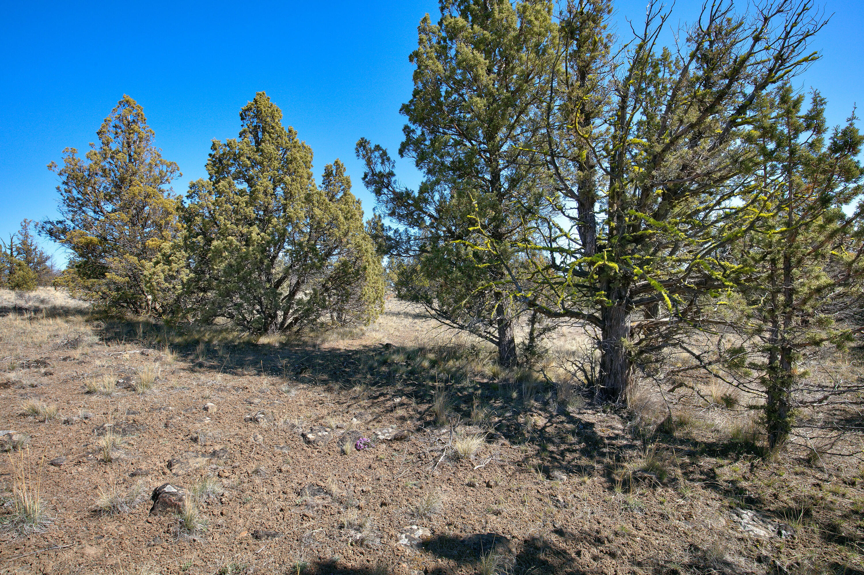 Longhorn Ridge - Land