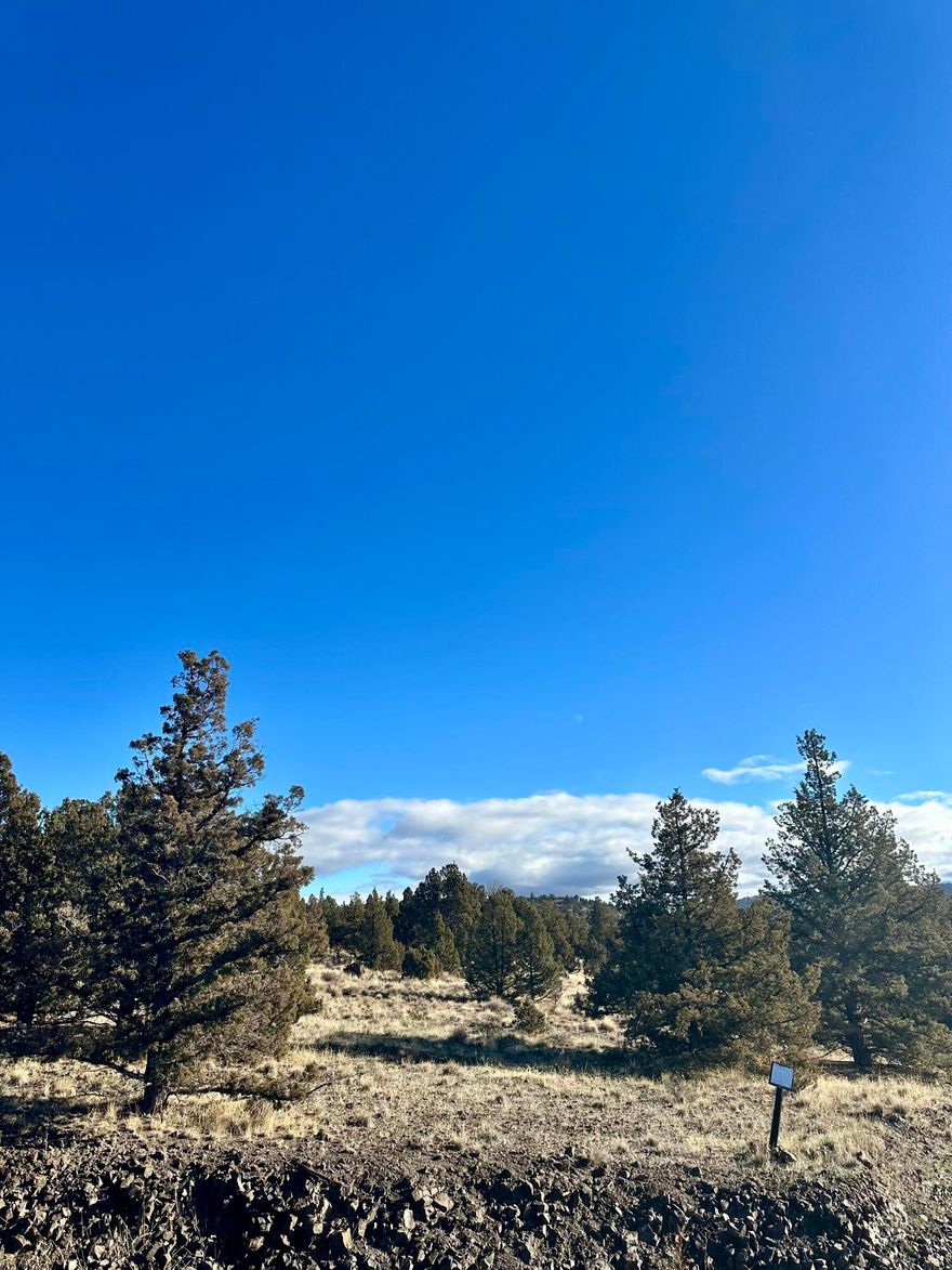 Experience a rare opportunity to build on 3.99 acres in the prestigious Round Tree Estates Subdivision. This is a premium homesite within the gated, exclusive community of only 15 total home sites, offering beautiful mountain views and excellent building potential. Enjoy added convenience with power at the road, a shared well and completed septic feasibility. Located just minutes from Juniper Reservoir, this property provides privacy, security, and easy access to outdoor recreation.