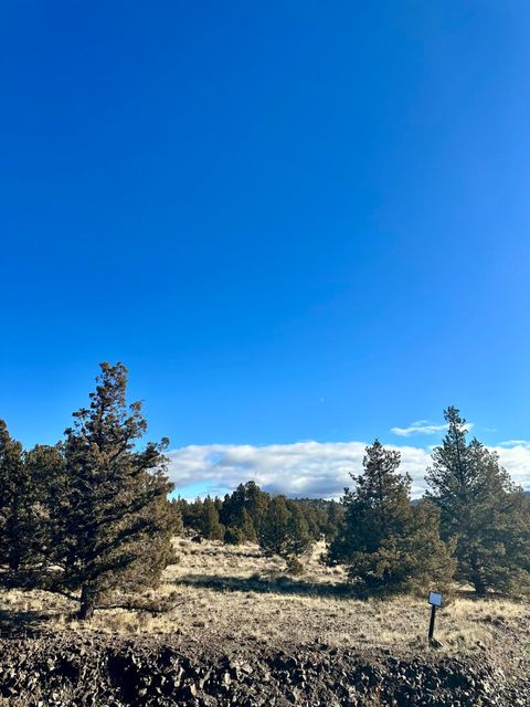 Photo of SE Rowan Court #13, Prineville, OR 97754 (MLS # 220212286)