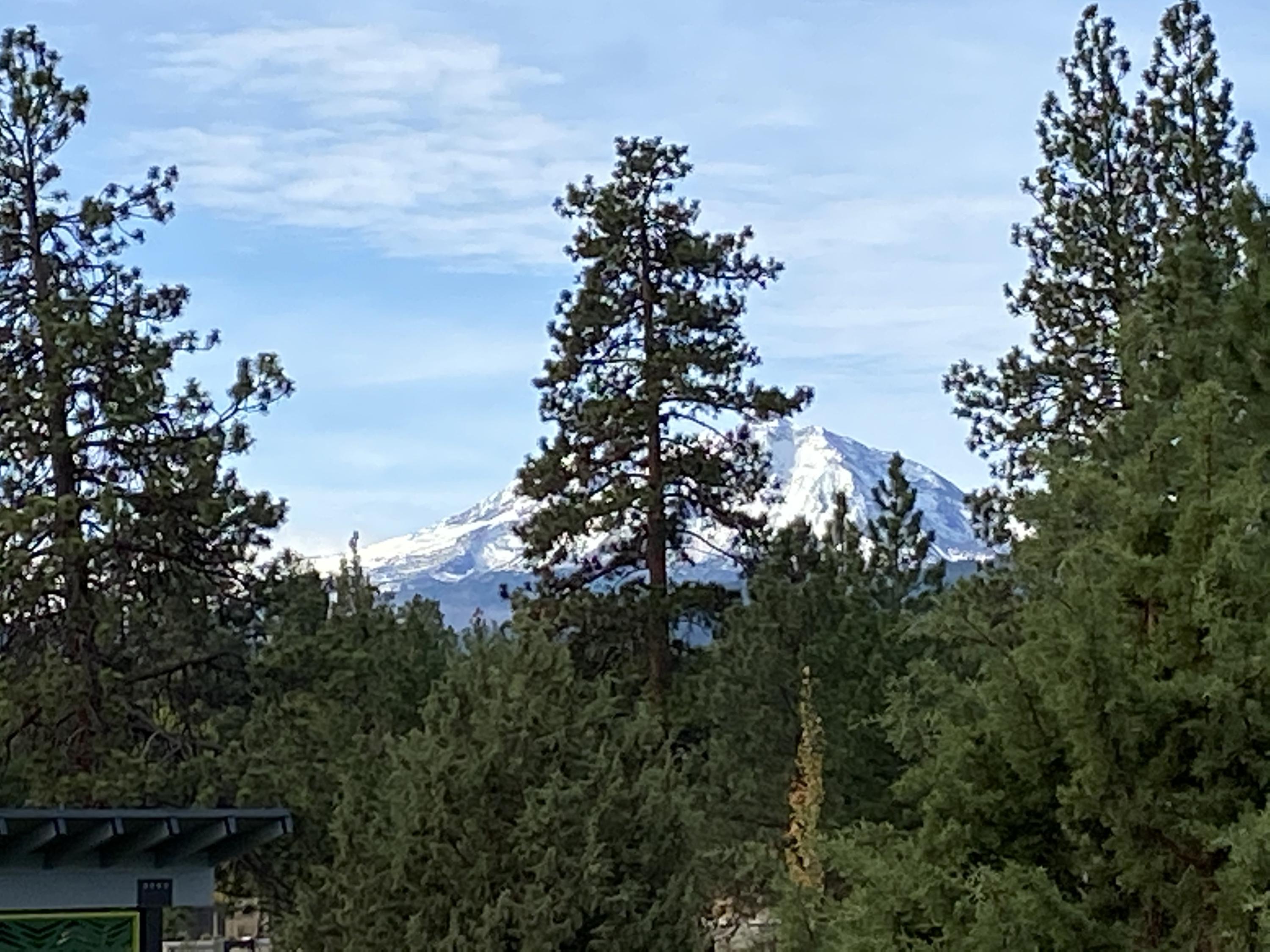 Clearpine - Residential