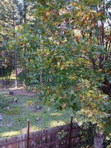 N/A - Commercial Sale