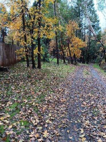 N/A - Commercial Sale