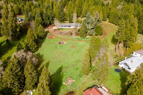 Tiny photo for 48187 McFarland Road, Oakridge, OR 97463 (MLS # 220216903)