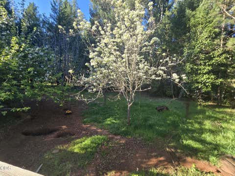 Tiny photo for 275 Sallsten Road, Grants Pass, OR 97527 (MLS # 220227202)
