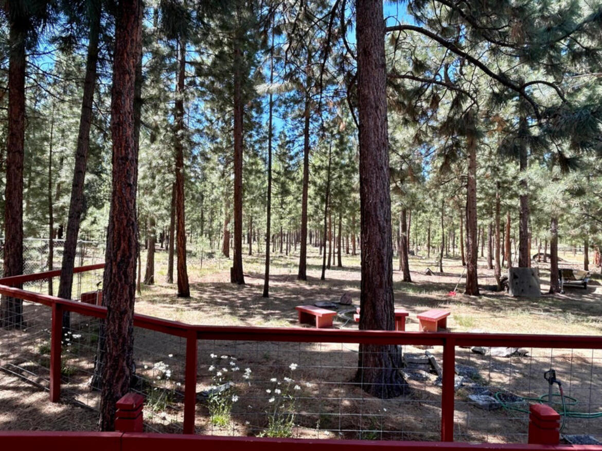 Ponderosa Pines - Residential