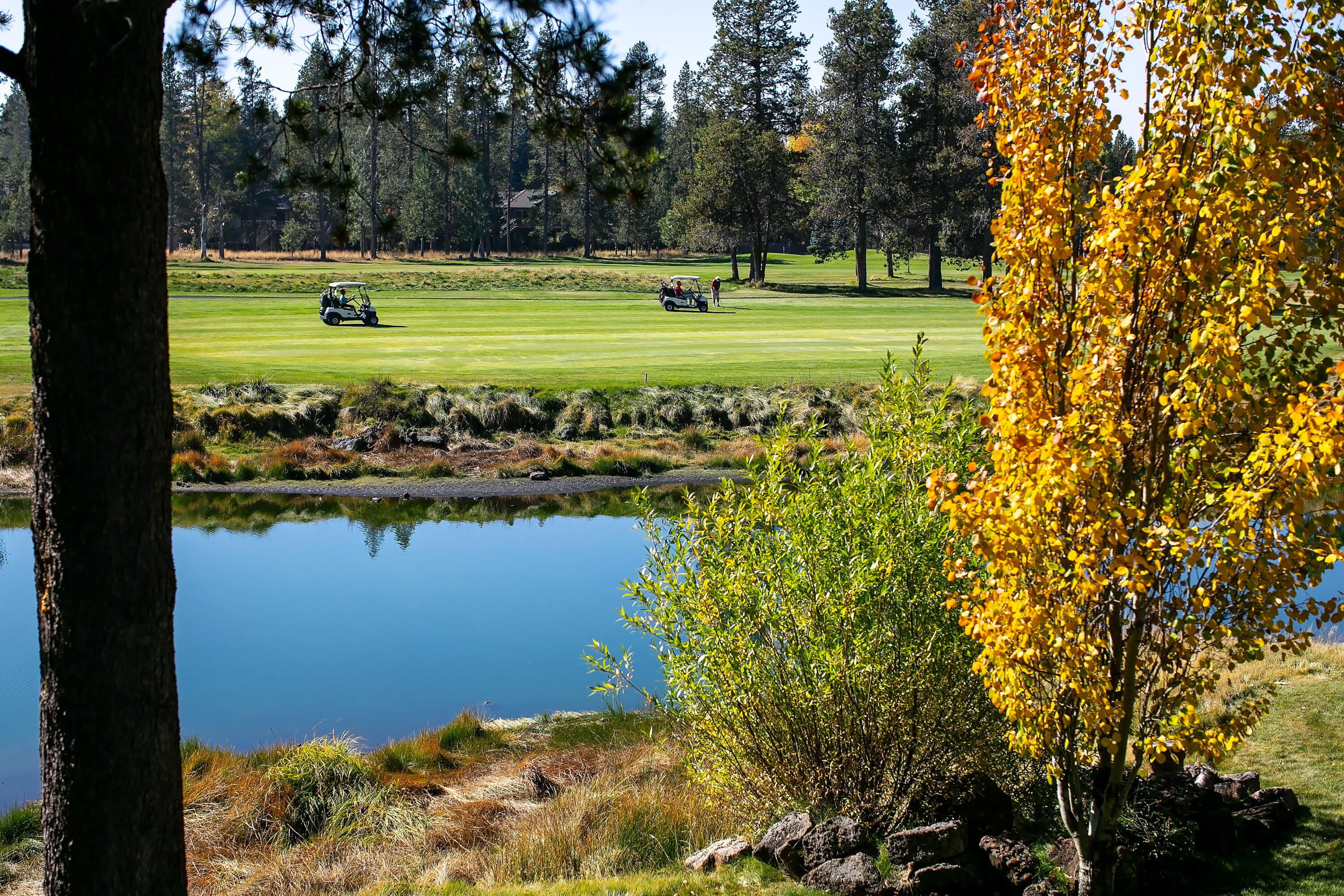 North Course Estates - Residential