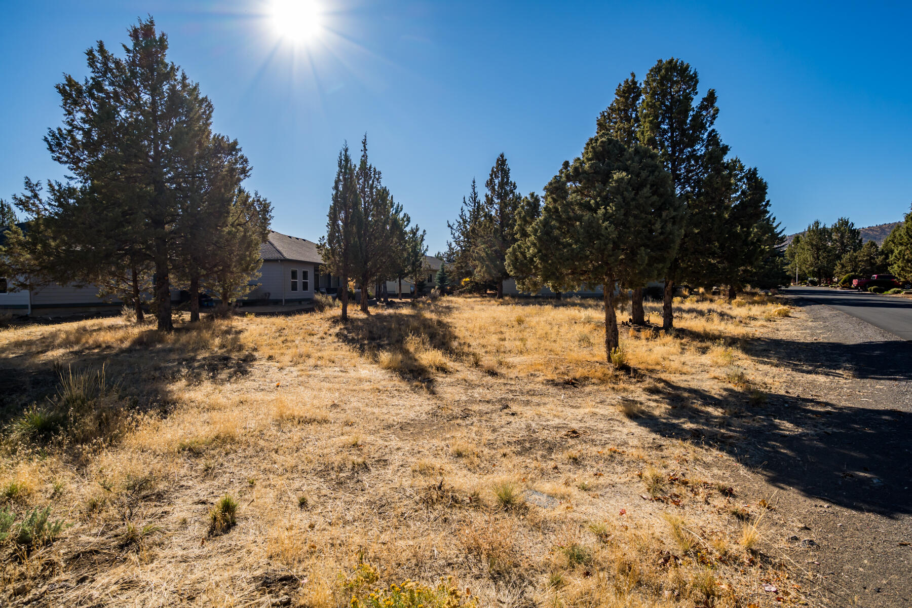830 Willet Lane