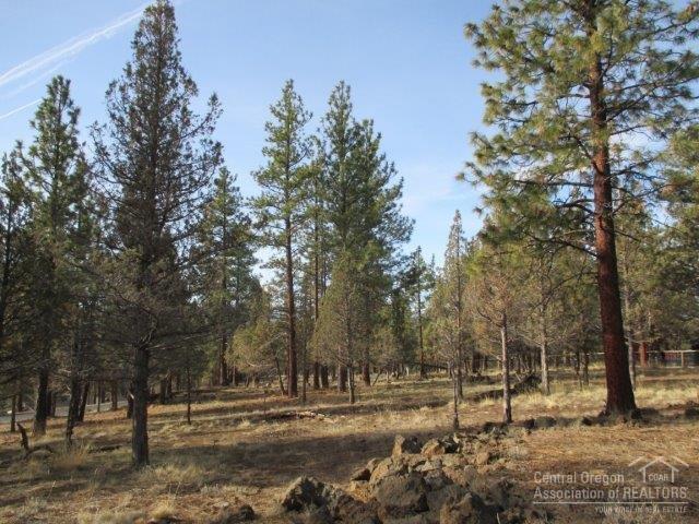 Sno Cap Vista Est - Land