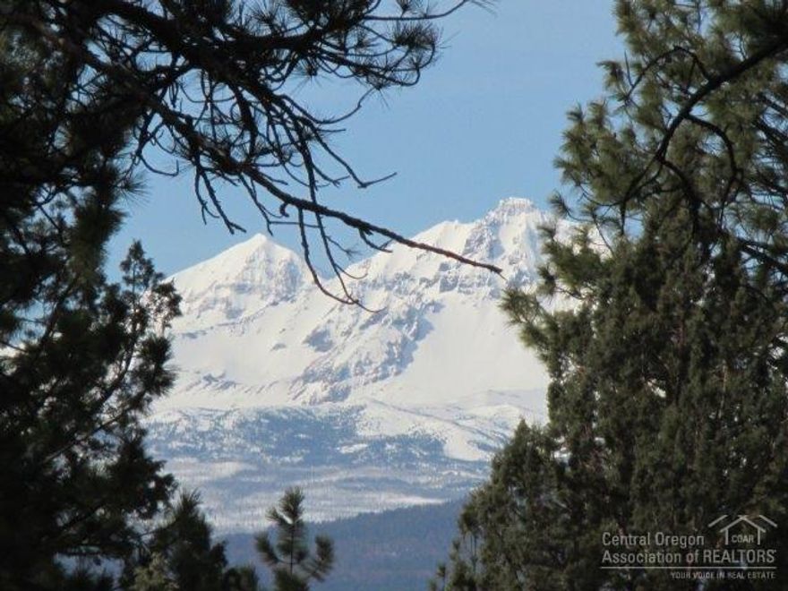 DISCOVER VISTA RIDGE In a neighborhood of paved roads, pine trees, community water and 1 to 5 acre lots. This gently sloping property is one of only a handful of buildable sites still available. Build your dream now, or hold onto this parcel for an investment into the future. 1.4 acres with a mountain view thru the trees. Just minutes to the Western town of Sisters.