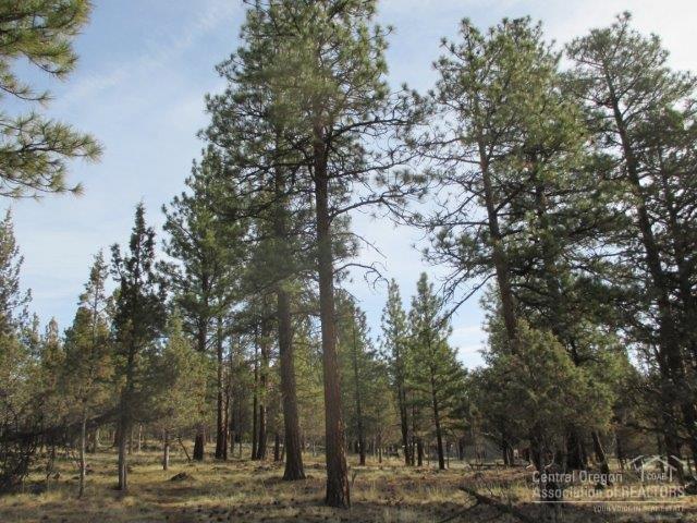 Sno Cap Vista Est - Land