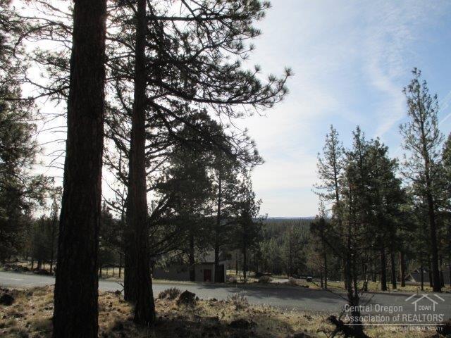 Sno Cap Vista Est - Land