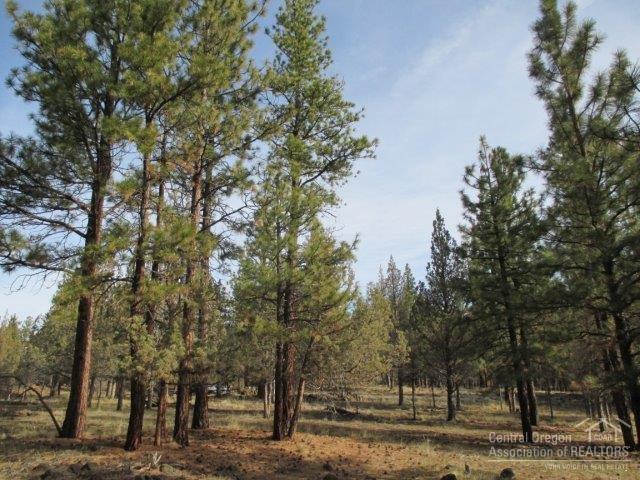 Sno Cap Vista Est - Land