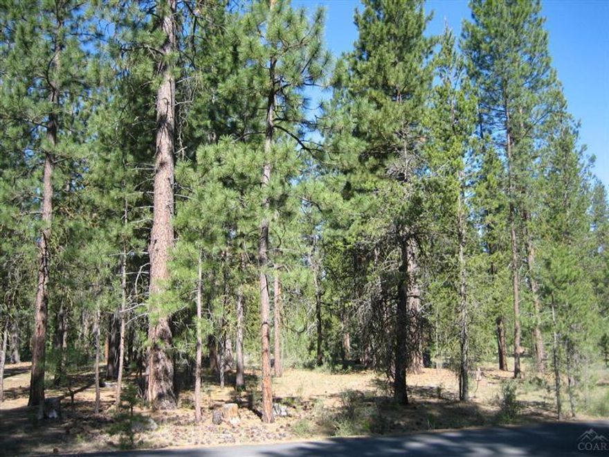 Hard to find interior parcel in this Big Deschutes River community featuring spectacular Pringle Falls sights and sounds! Level and symmetrical .39 acre building lot backs up to forested common area, laden with mature ponderosas and abundant wildlife. Custom plans for post/beam style 3BR home may be available. Paved roads, protective CC&R's, community water system & underground utilities enhance the livability of this hideaway riverfront community close to skiing, fishing, and downtown Bend amenities!