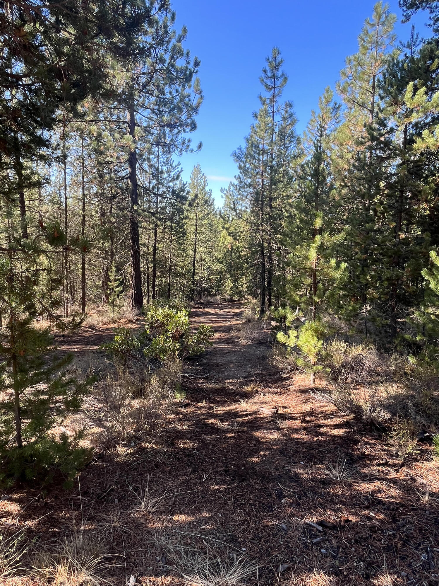 Diamond Peaks - Land