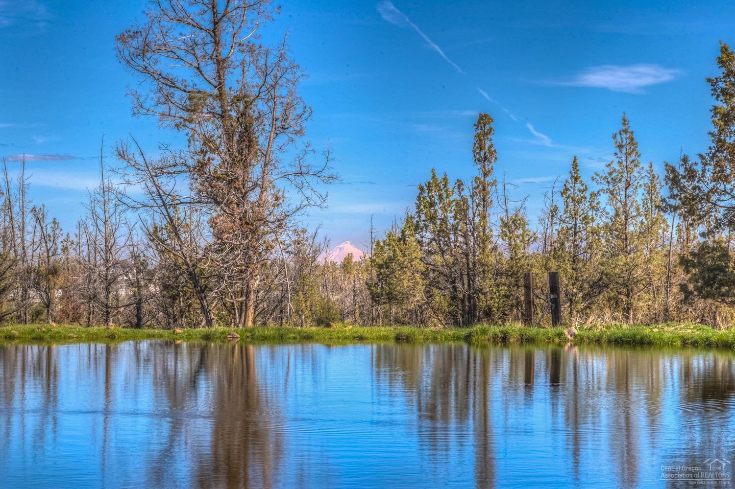 Rencher Ranch Estate - Land
