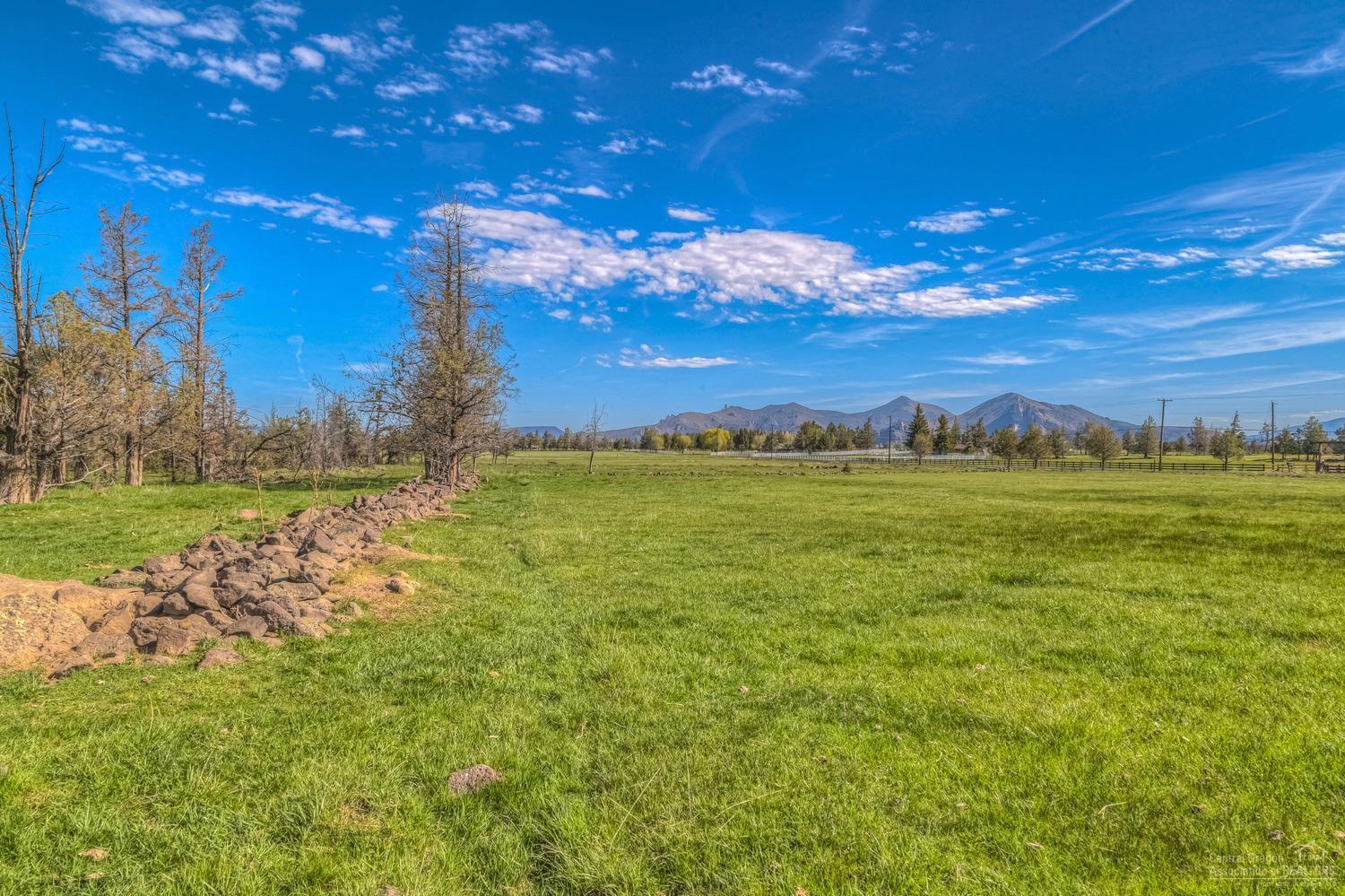 Rencher Ranch Estate - Land