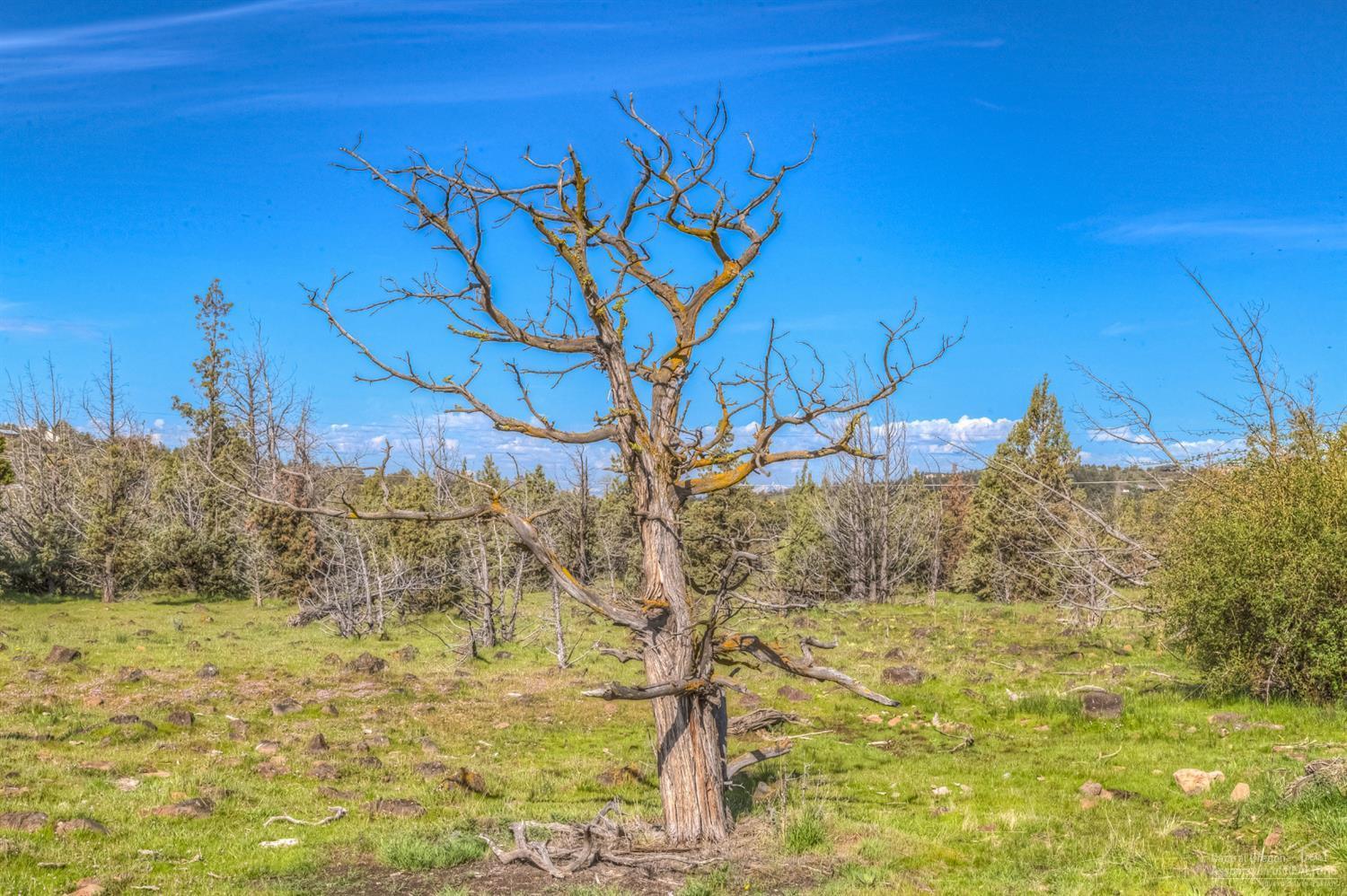 Rencher Ranch Estate - Land