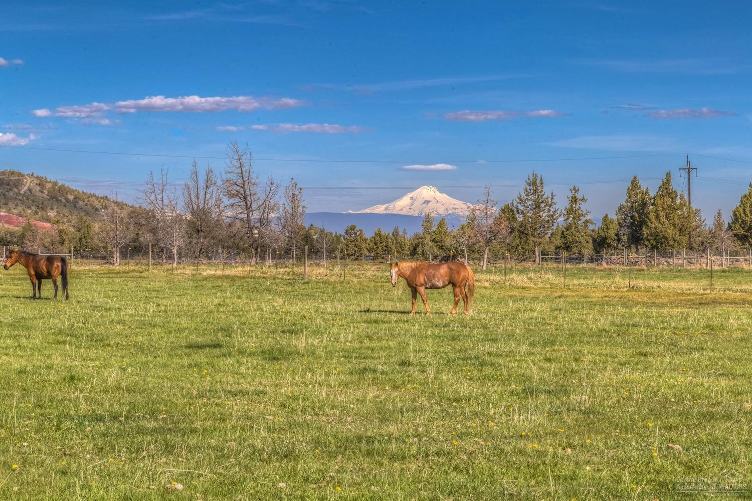 Rencher Ranch Estate - Land