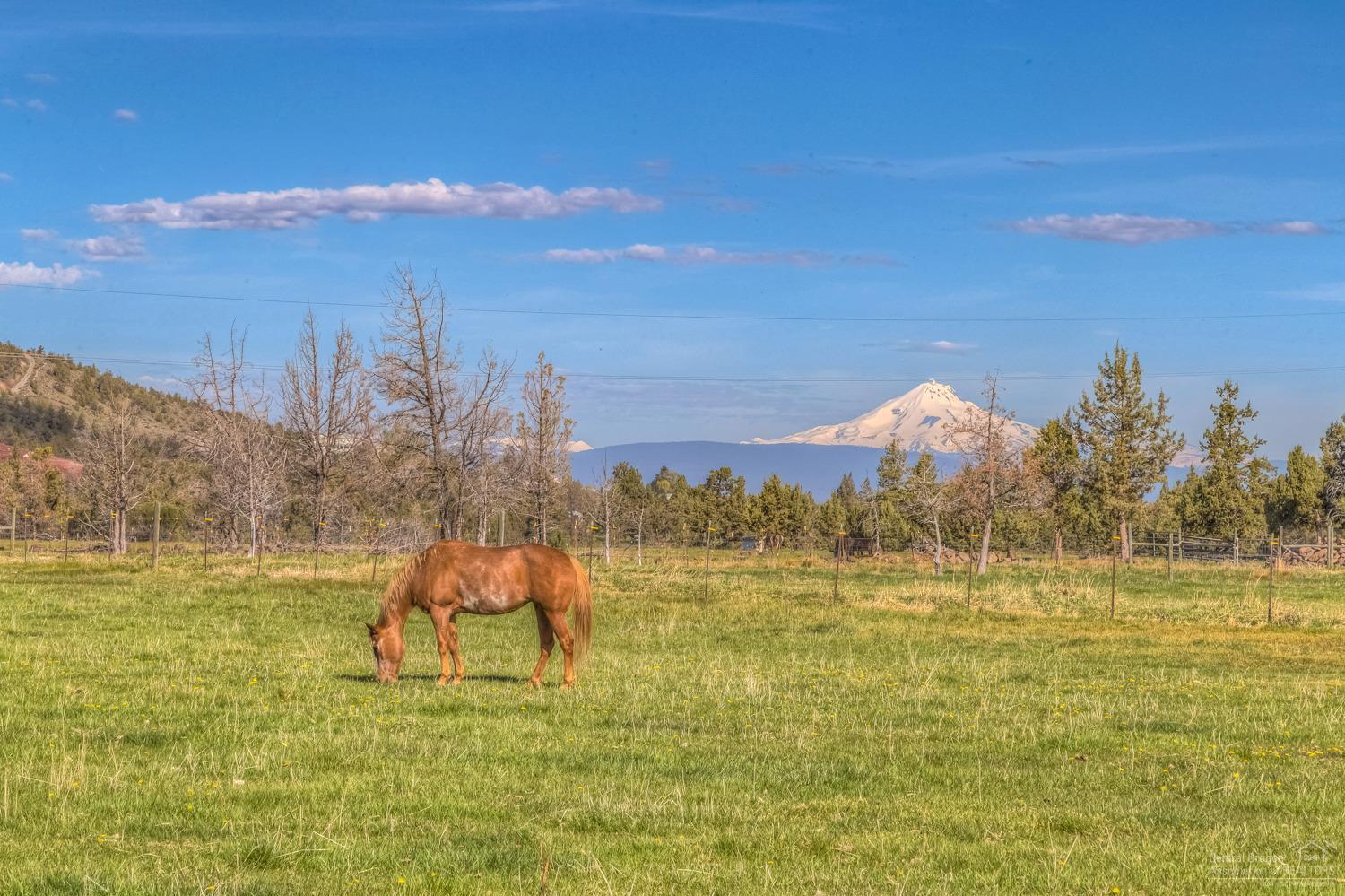 Rencher Ranch Estate - Land